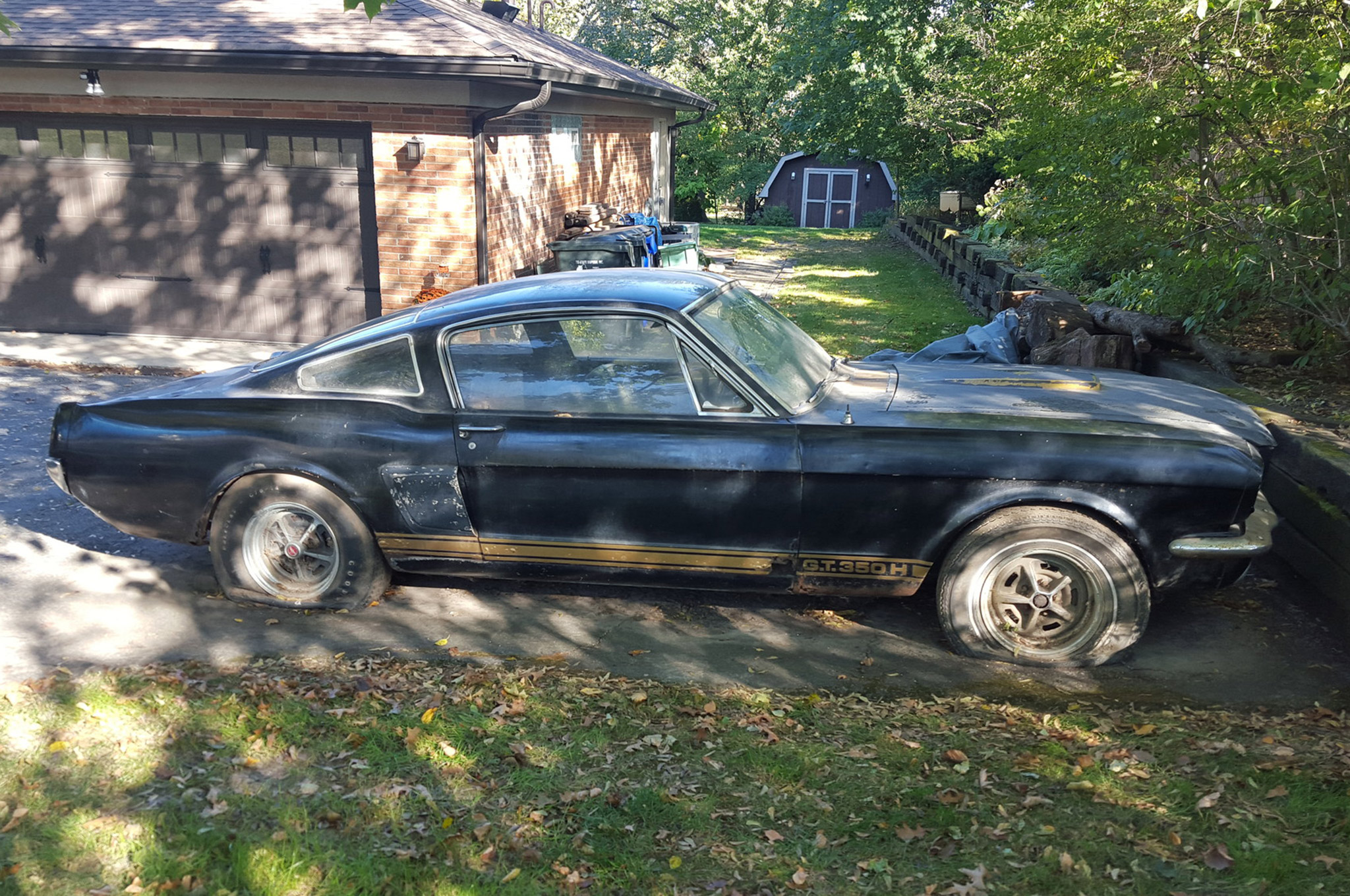 Craigslist Gold! 1966 Shelby G.T. 350H Rare Find