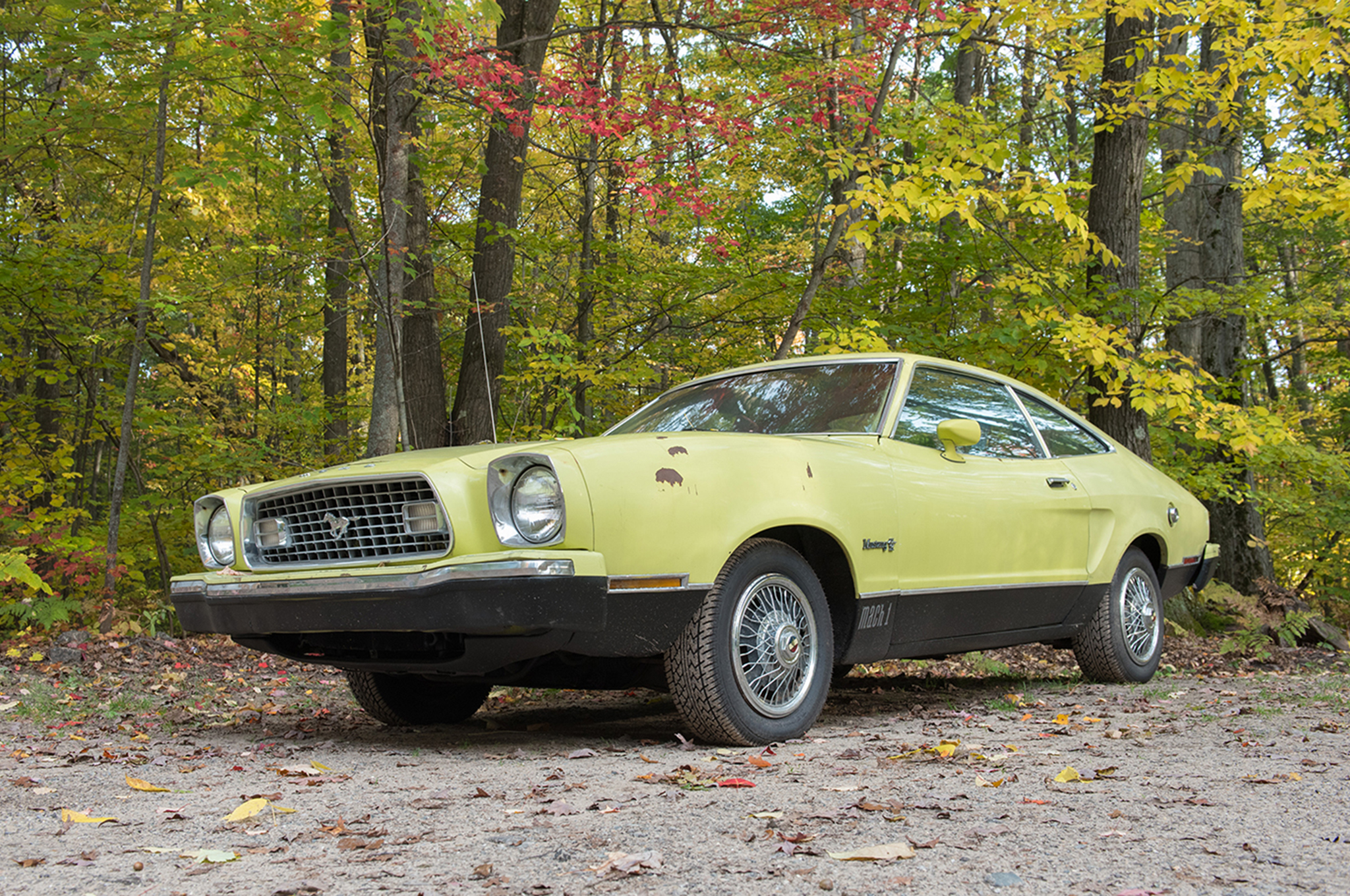 1 Ford Mustang 2