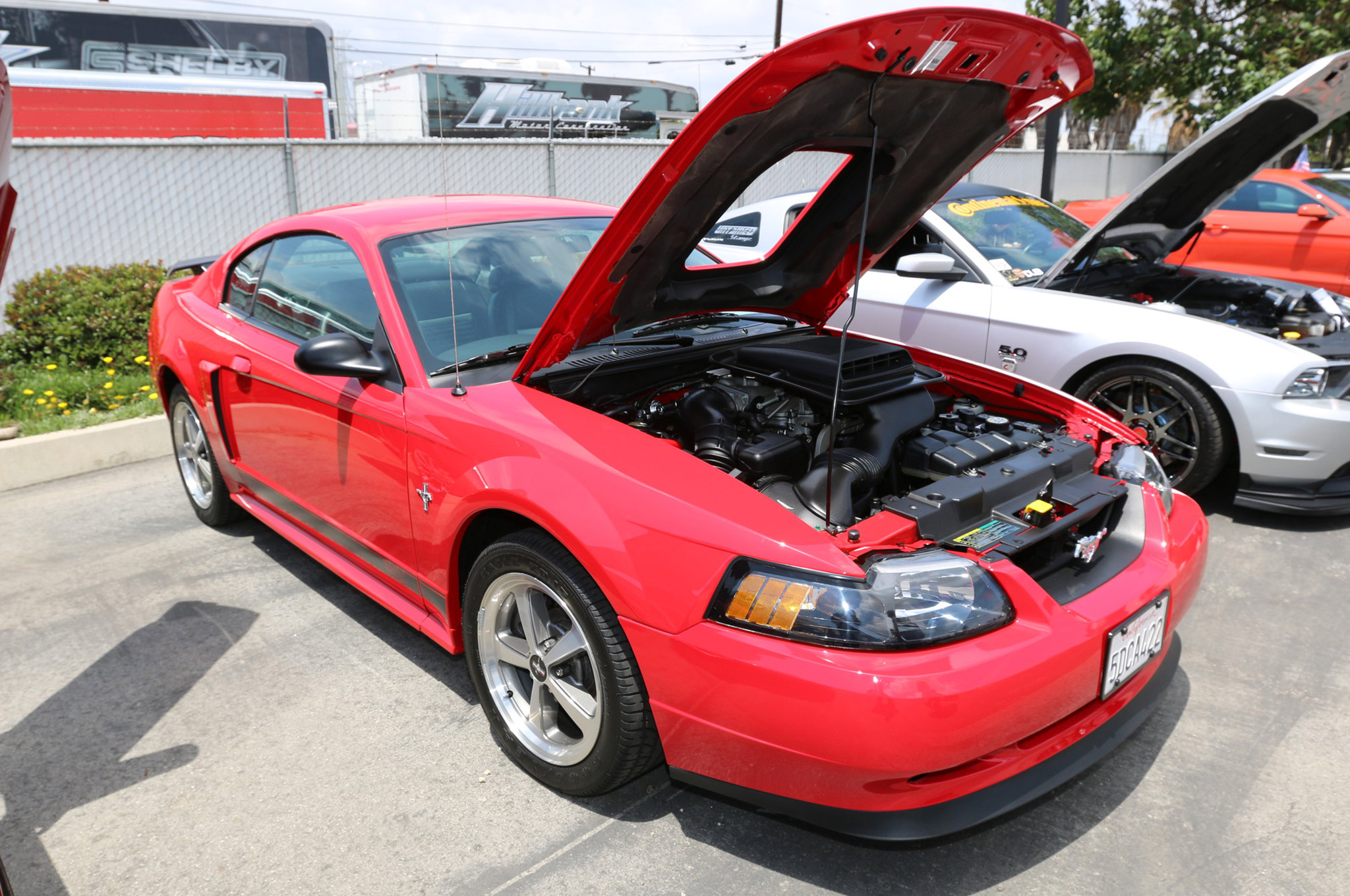 2015 Mustang Mach 1 >> 2015 Carroll Shelby Annual Tribute Car Show 132 2002 Ford Mustang 2015 Mustang Mach 1 >> 2015 Carroll Shelby Annual Tribute Car Show 132 2002 Ford Mustang