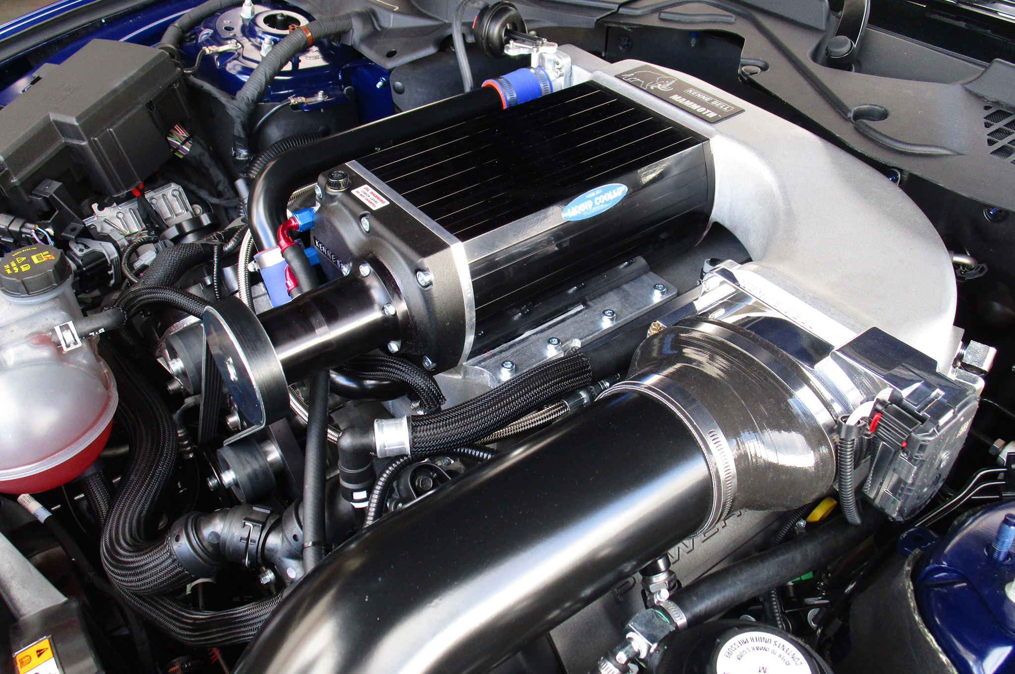 Supercharged Coyote Photo 128863661 A Close Look at Kenne Bell’s 2