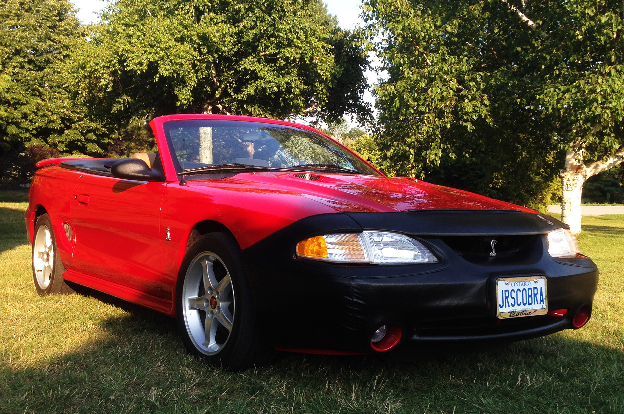 1997 Svt Cobra