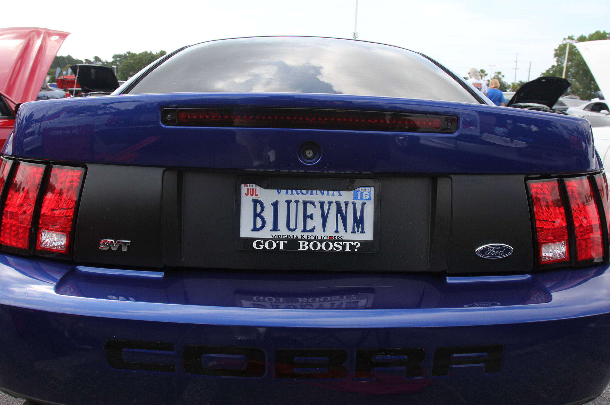 Personalized License Plates From Mustang Week 2015 07 Photo 131062688 Personalized License Plates From Mustang Week 2015 07 Photo 131062688