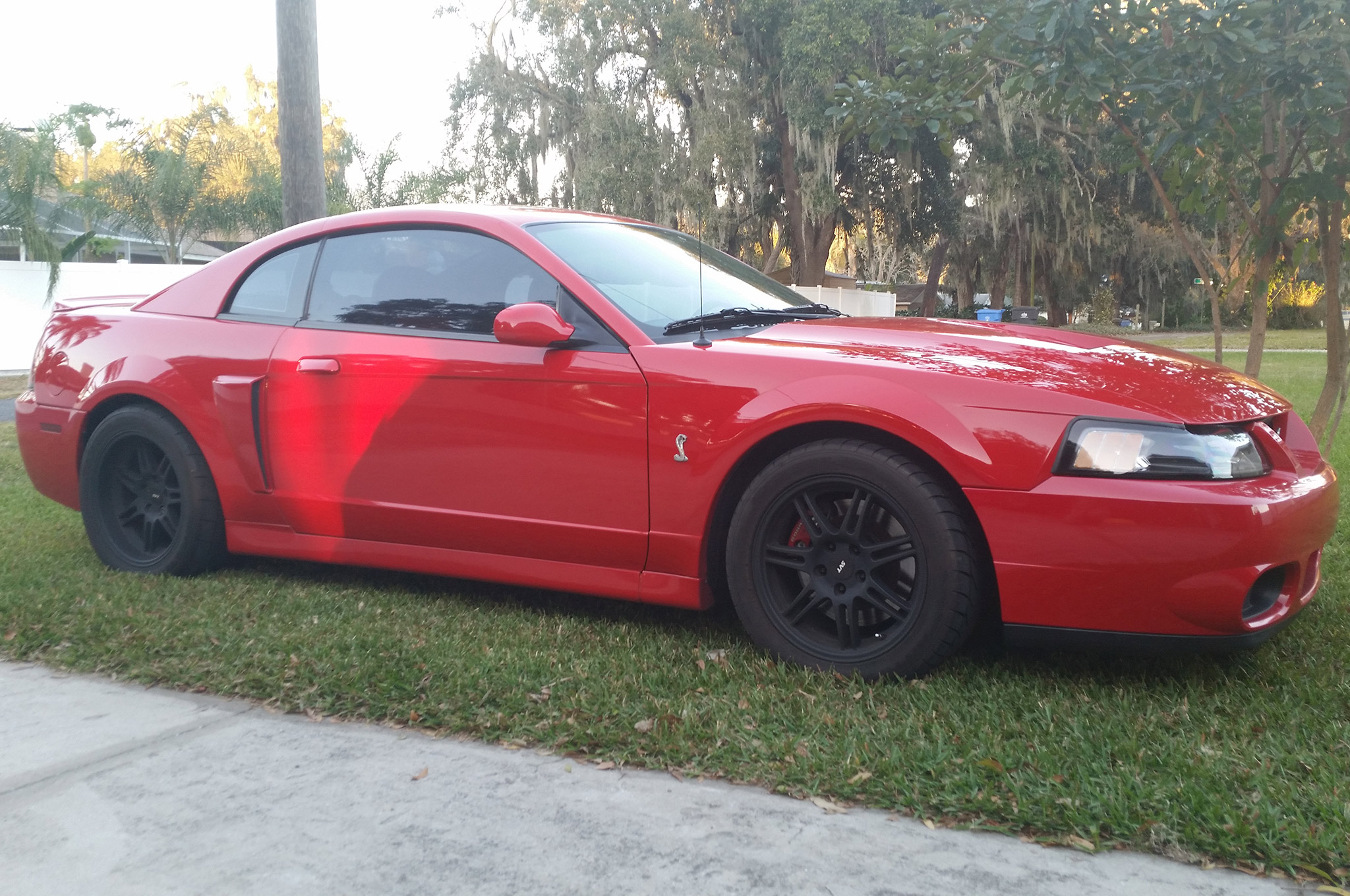 2003 Svt Cobra