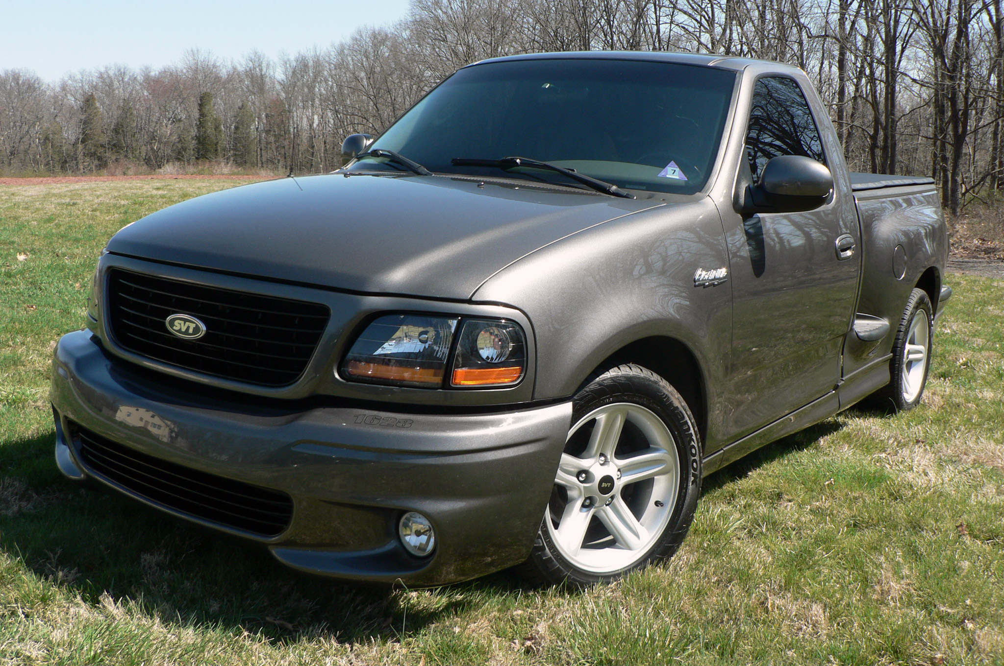 2003 Ford F 150 Svt Lightning