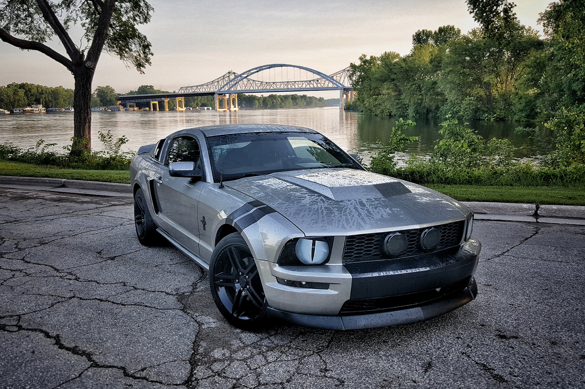 2008 Ford Mustang Gt Premium