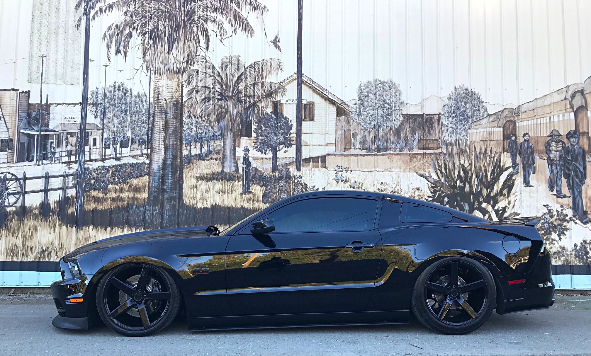 Tony Capitule 2013 Mustang Gt