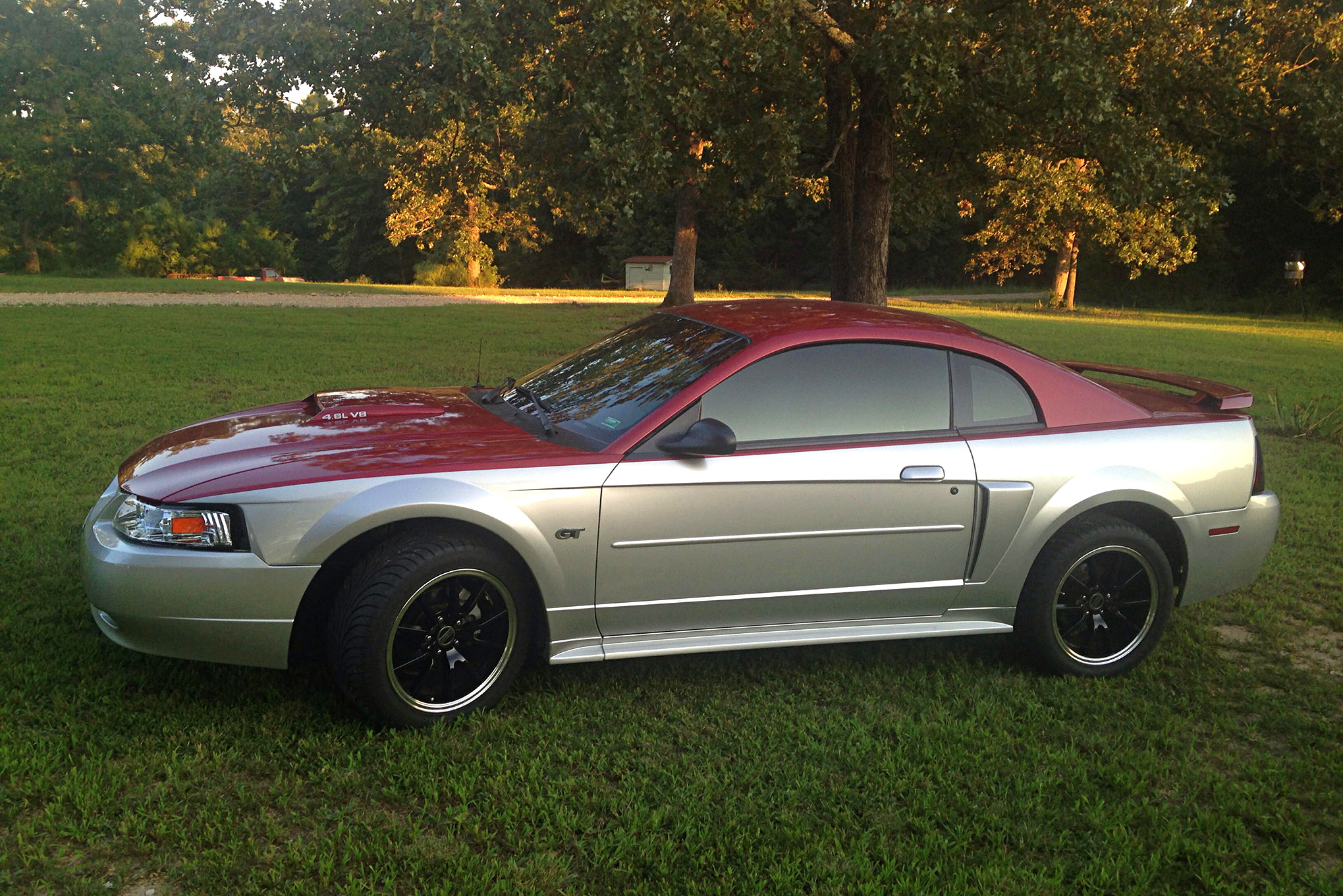004 Tyler Roam 2001 Mustang GT