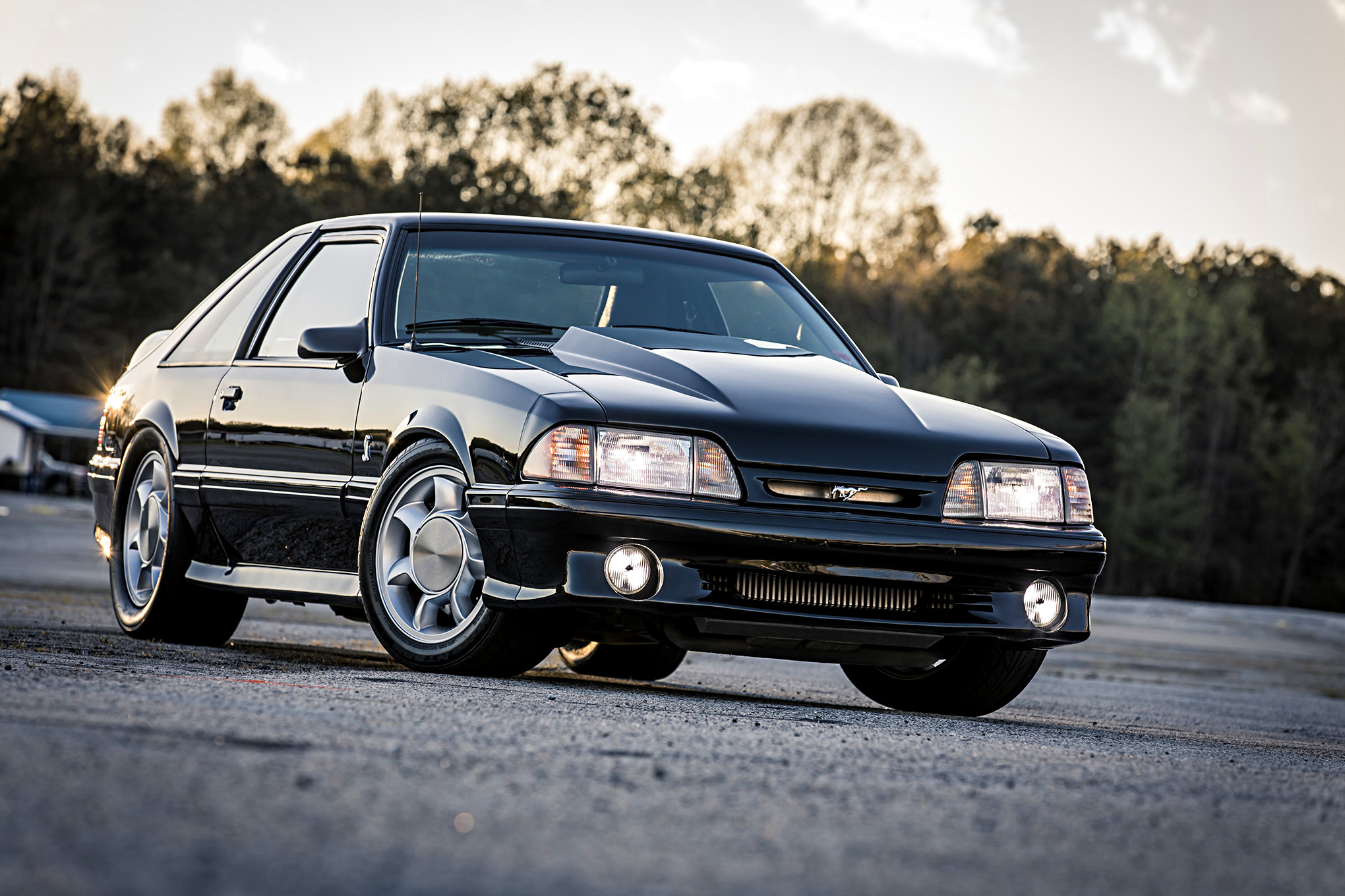 www.mustangandfords.com