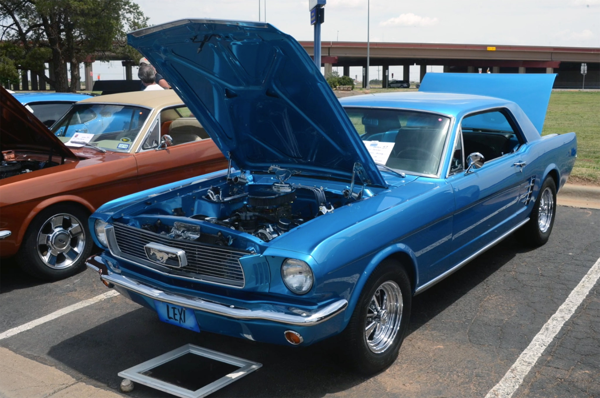 Lubbock Mustang Show