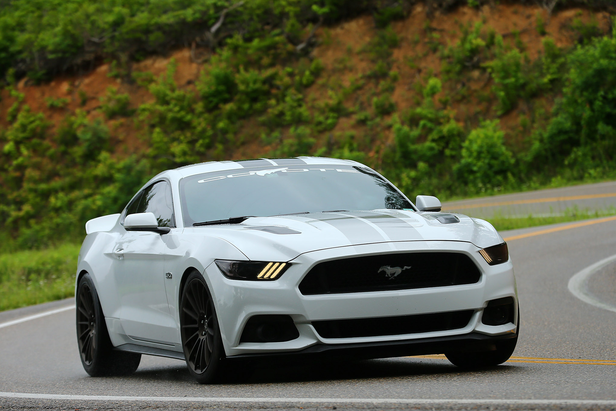 Snapshot Reed 2016 Mustang GT