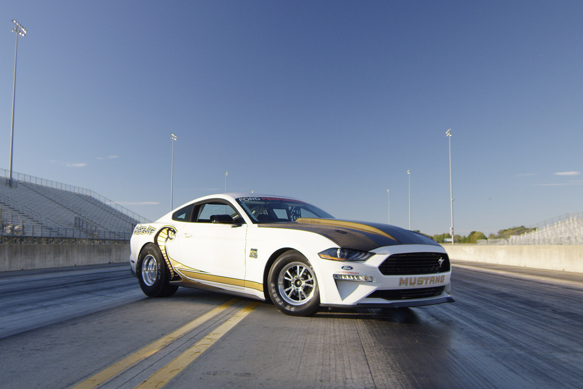 Mt Cobra Jet