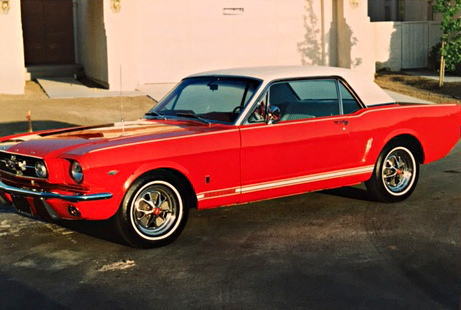 1965 Ford Mustang Frame Buildup 104 Photo 214736609 Fantastic Vintage Burdy 1966 Fastback - Mustang Photo Frame 1965 Ford Mustang Frame Buildup 104 Photo 214736609 Fantastic Vintage Burdy 1966 Fastback - Mustang Photo Frame