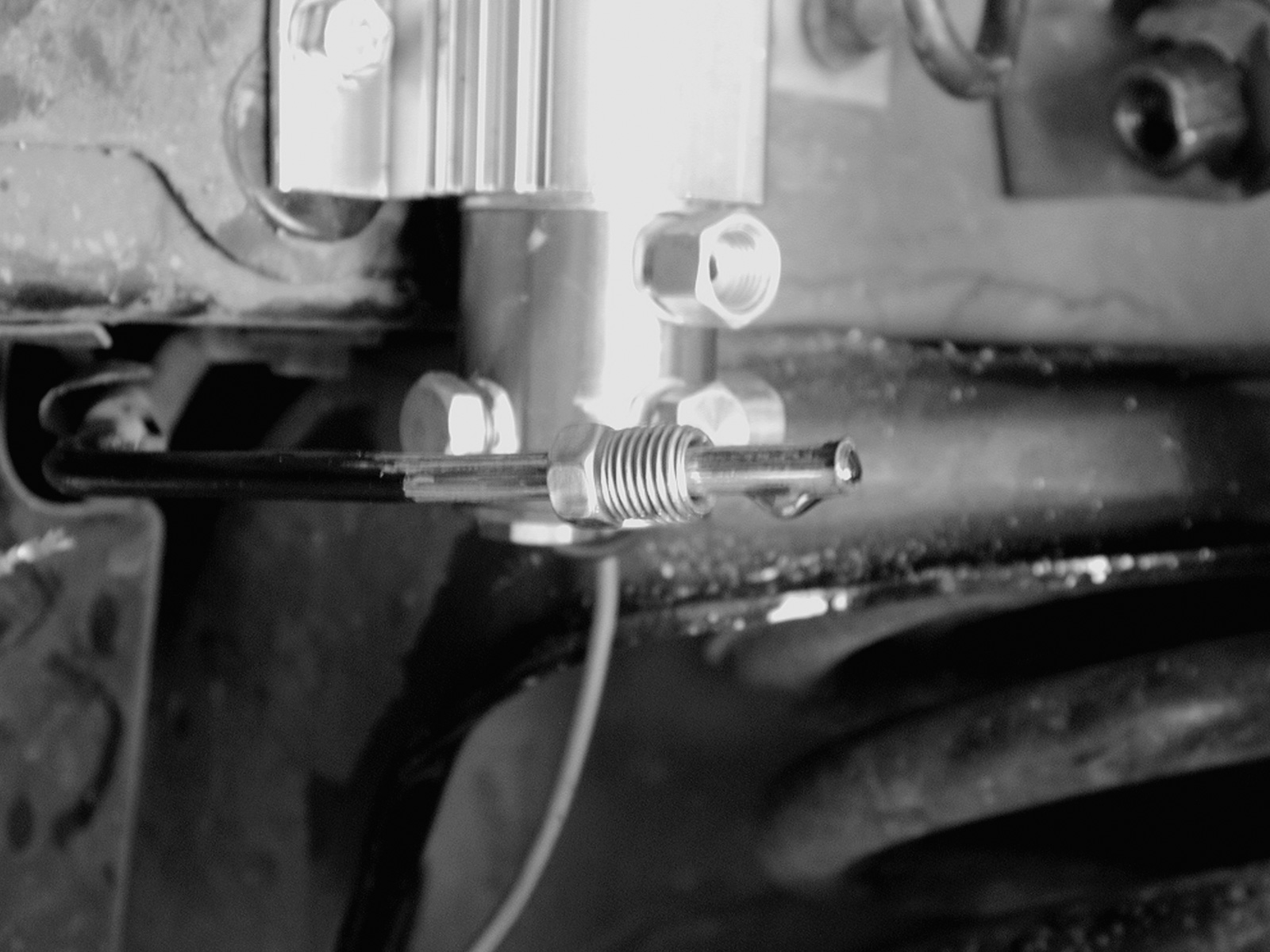 Ford Mustang Line Locks Locked And Loaded Photo & Image Gallery