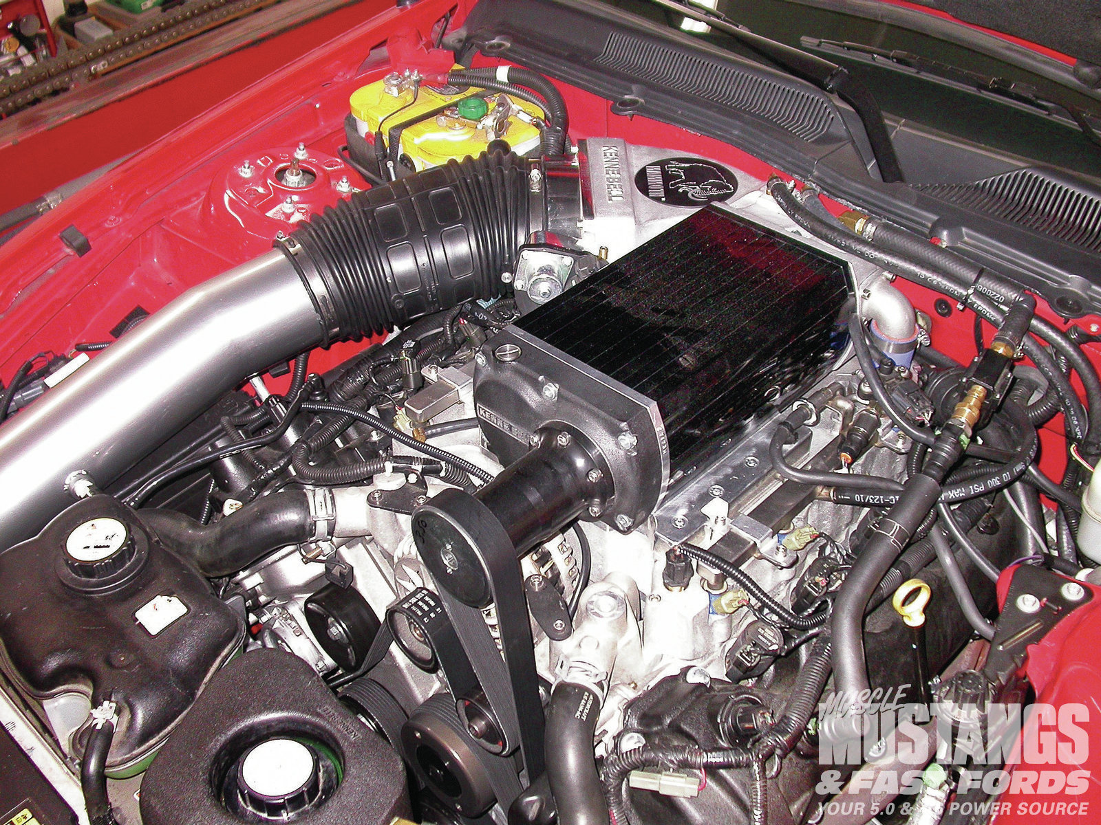 www.mustangandfords.com
