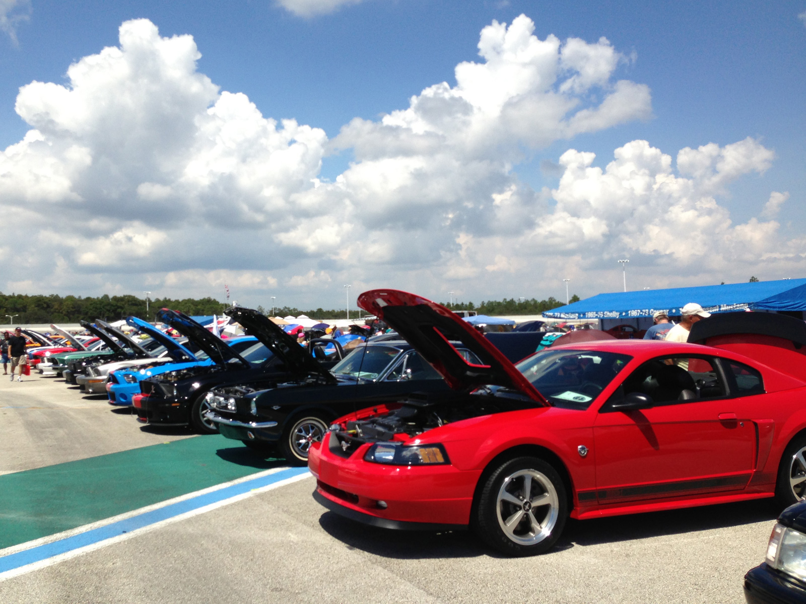 Mustang Club Of America >> Mustangs At The Mickyard Hosted By Mustang Club Of America Mustang Club Of America >> Mustangs At The Mickyard Hosted By Mustang Club Of America