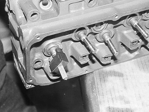 P79531_image_large