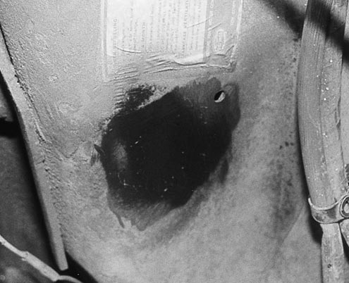 P79581_image_large