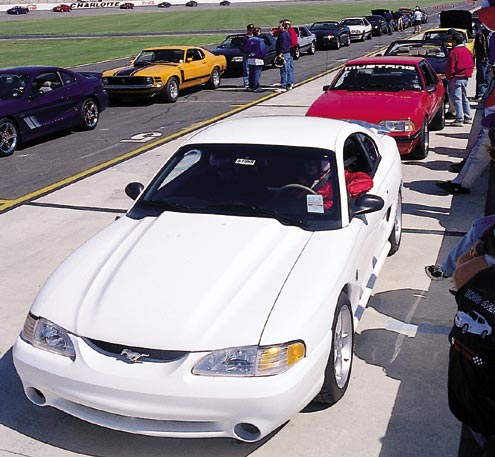 P94269_large Ford_Mustangs Pit_Lane_Line_Up