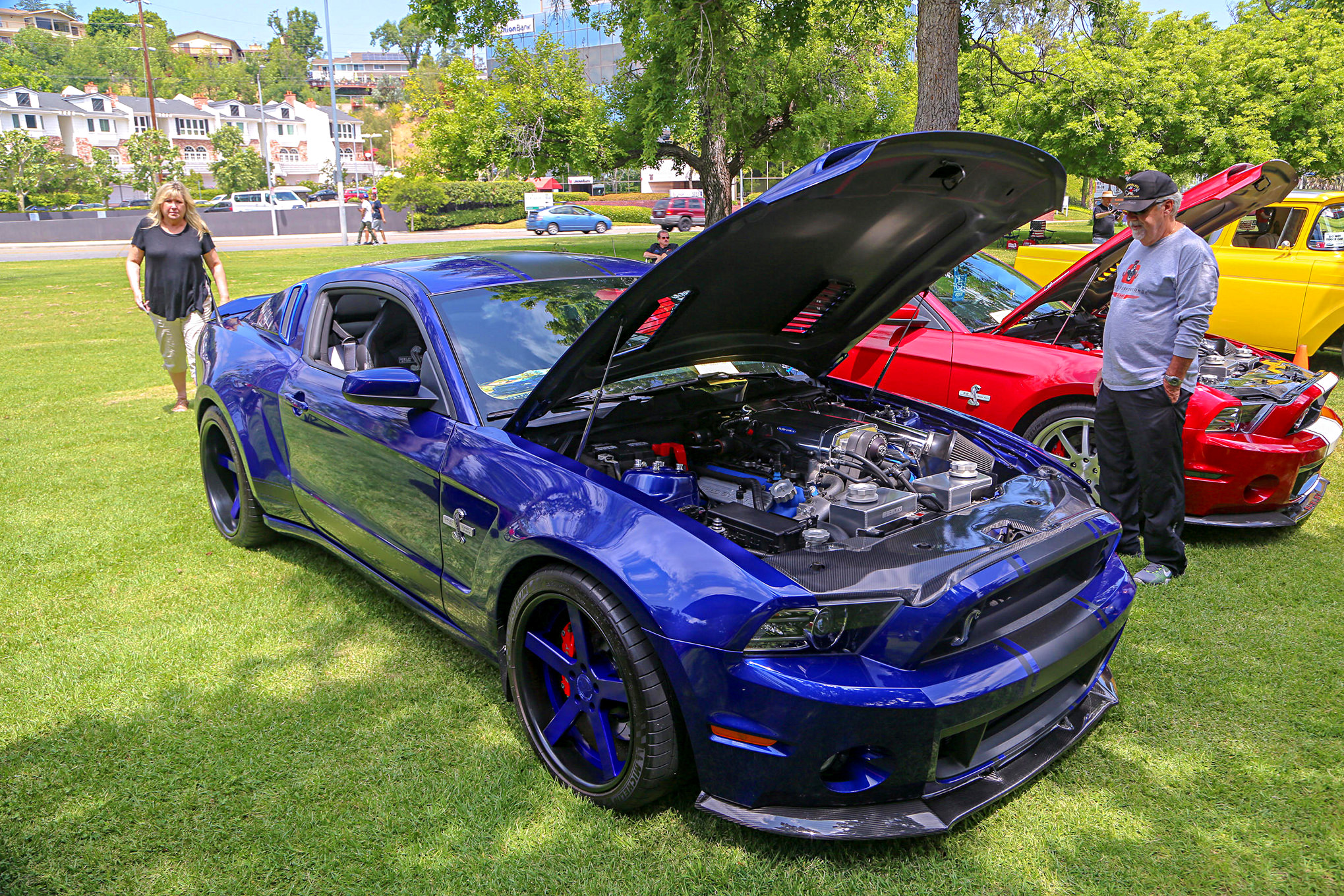 Mustangs In The Park_Stephen Russo 1