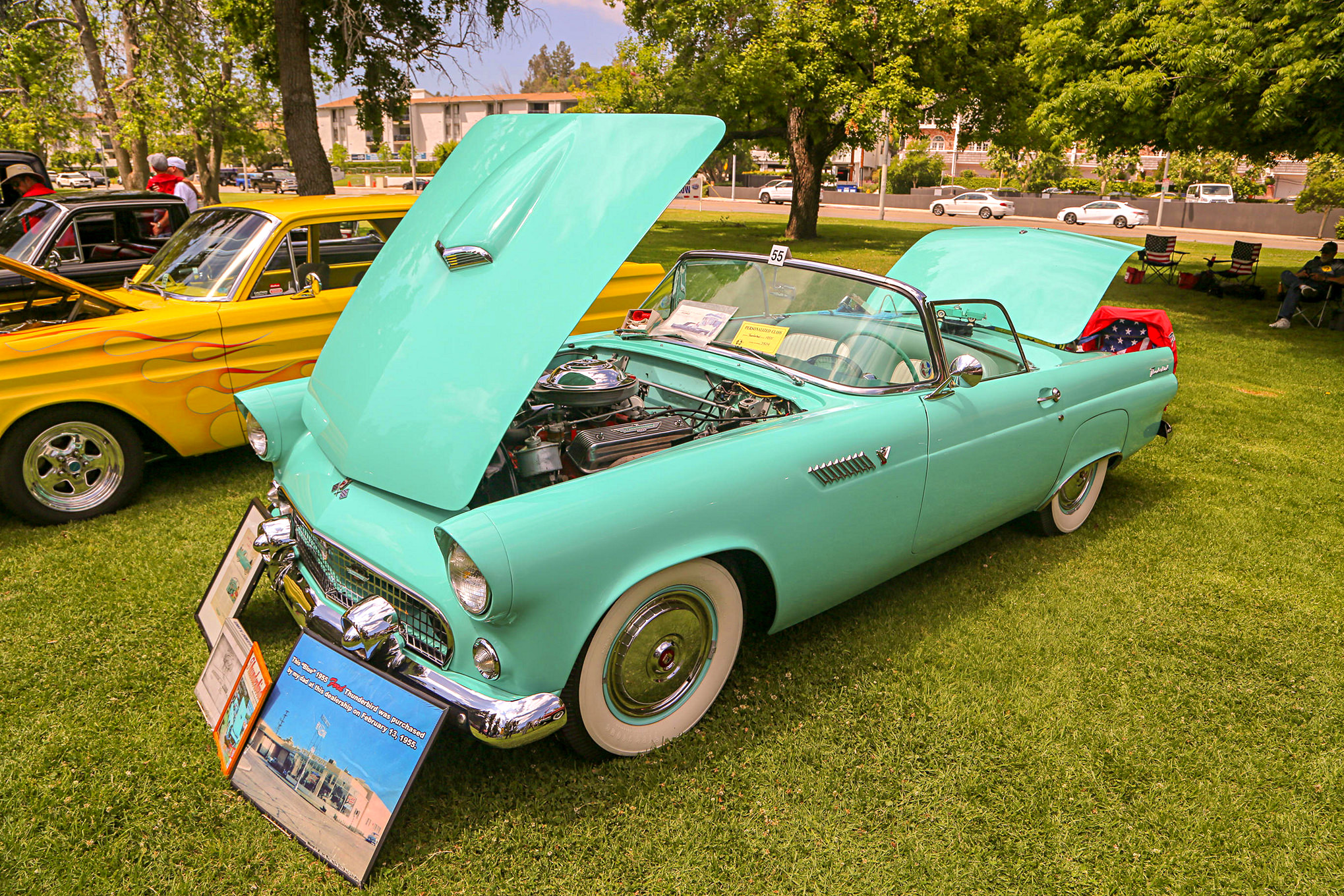 Mustangs In The Park_Stephen Russo 10