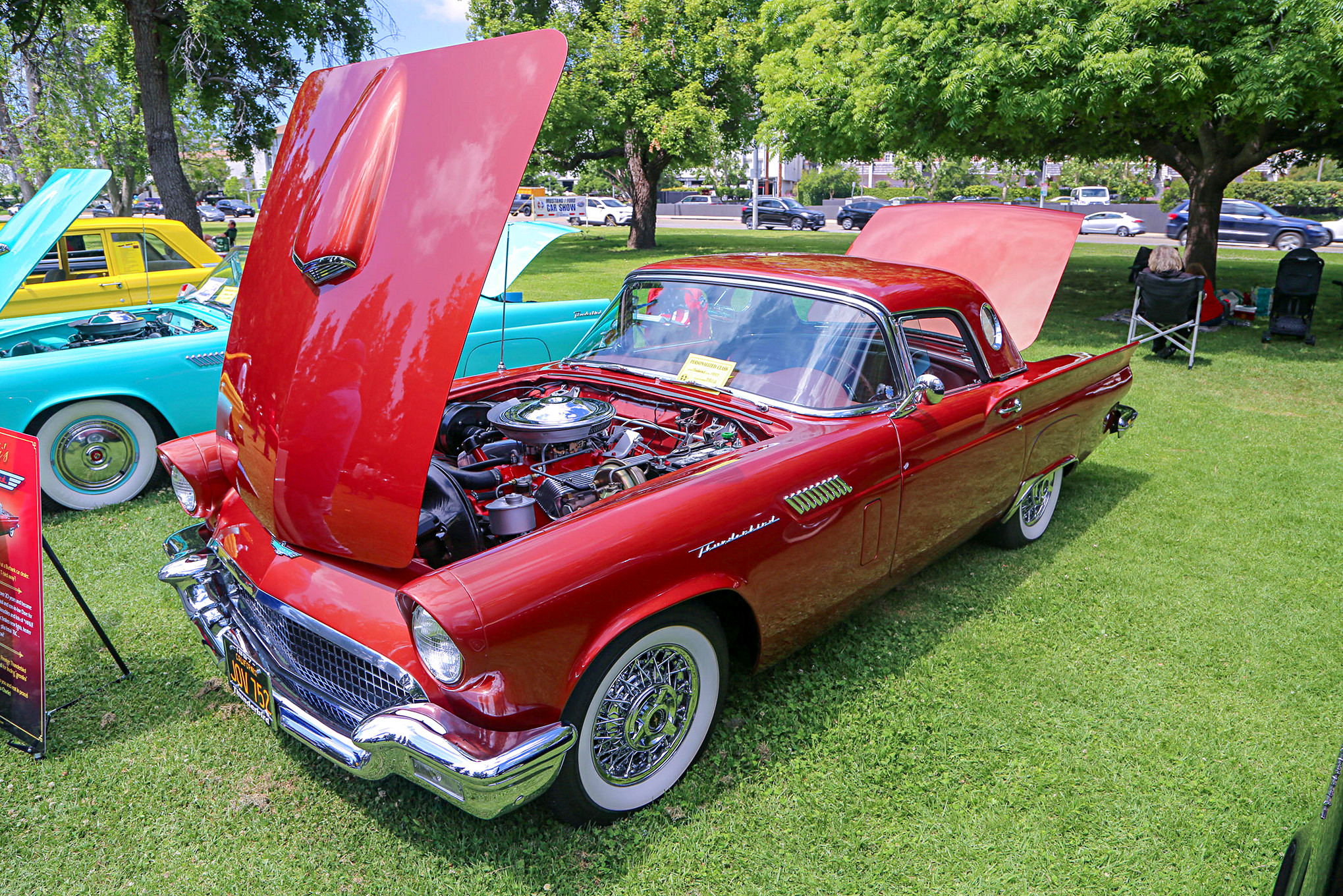 Mustangs In The Park_Stephen Russo 11