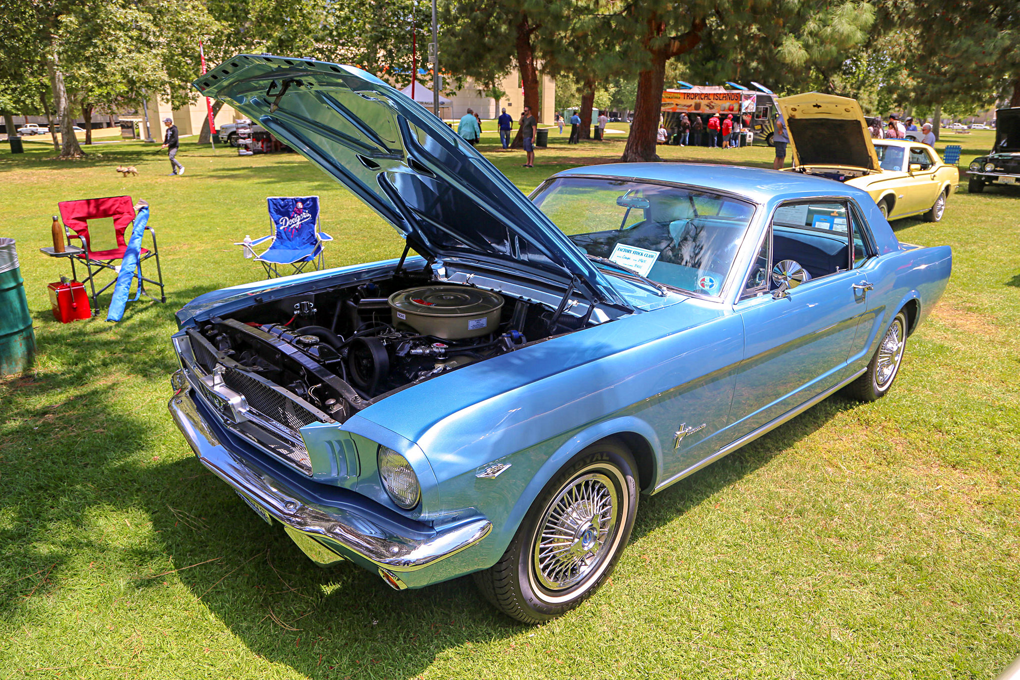 Mustangs In The Park_Stephen Russo 118