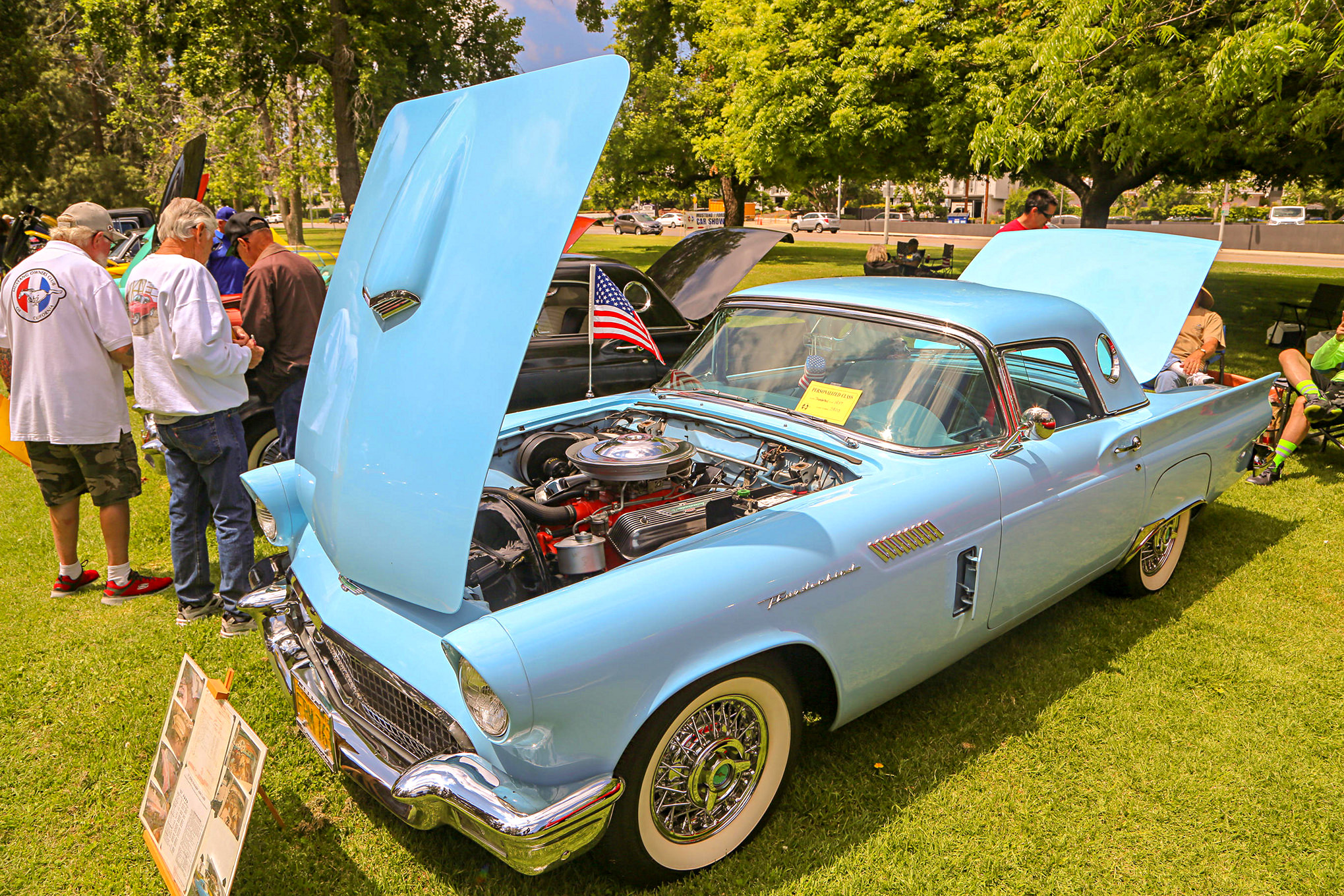 Mustangs In The Park_Stephen Russo 12