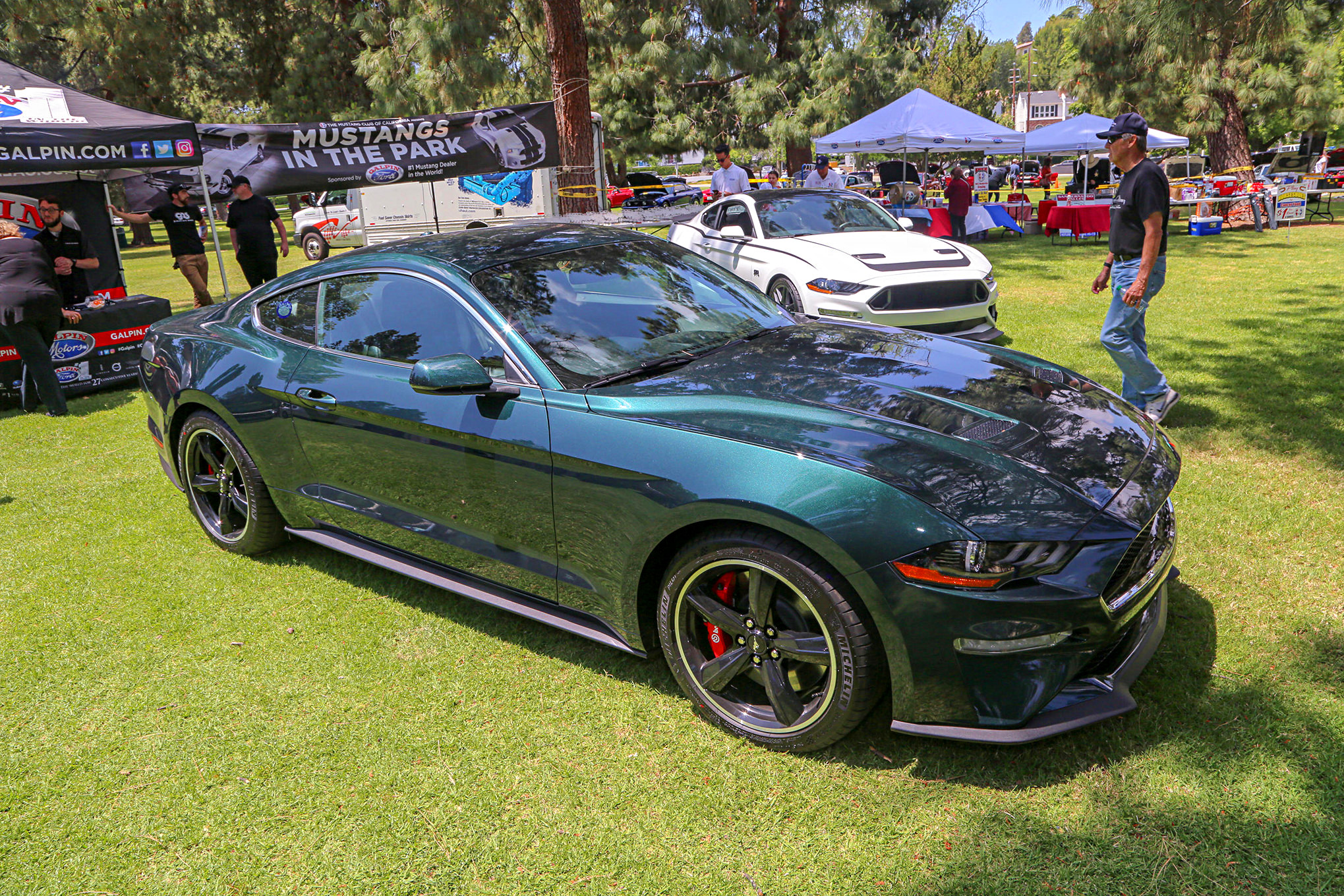 Mustangs In The Park_Stephen Russo 121