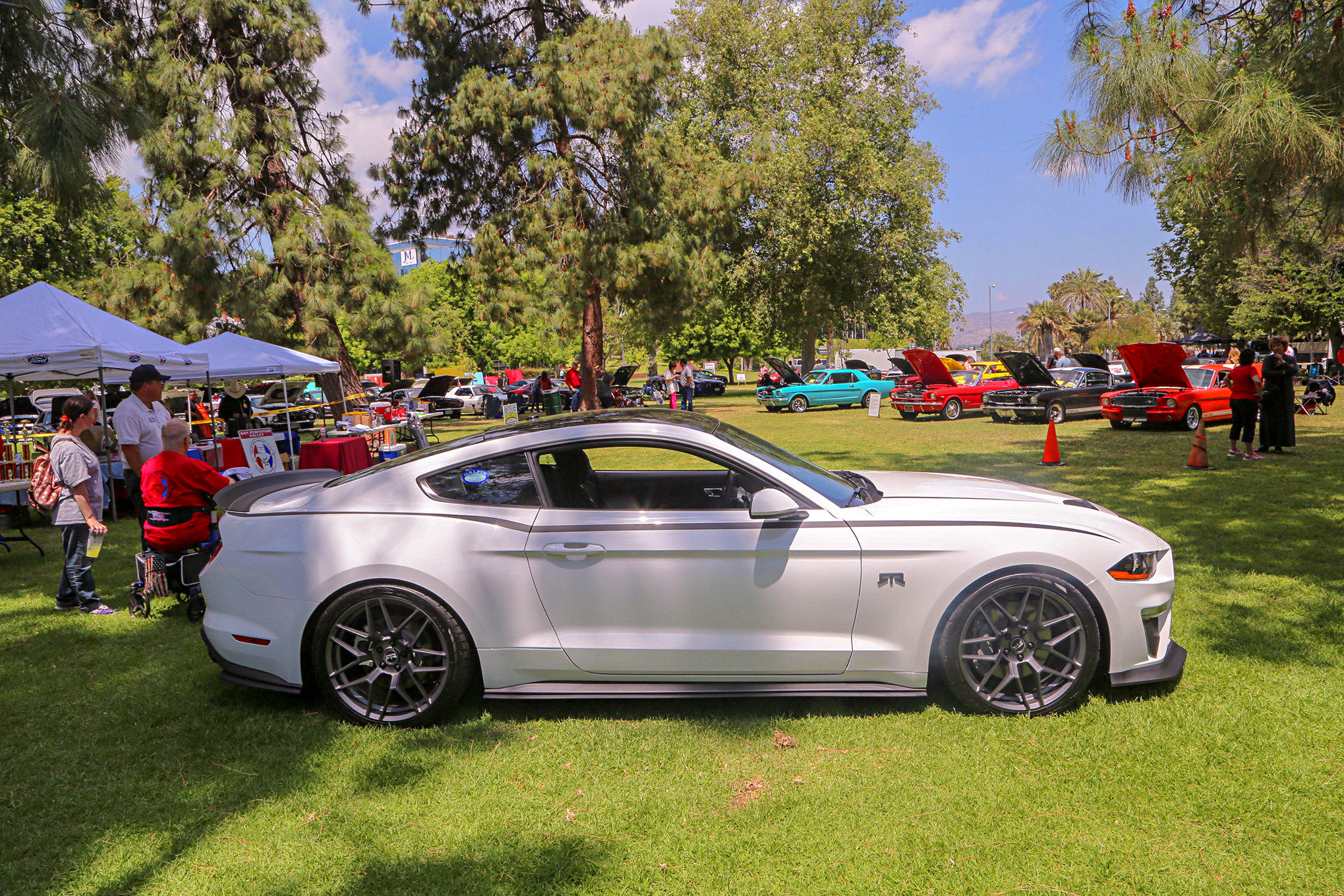 Mustangs In The Park_Stephen Russo 123
