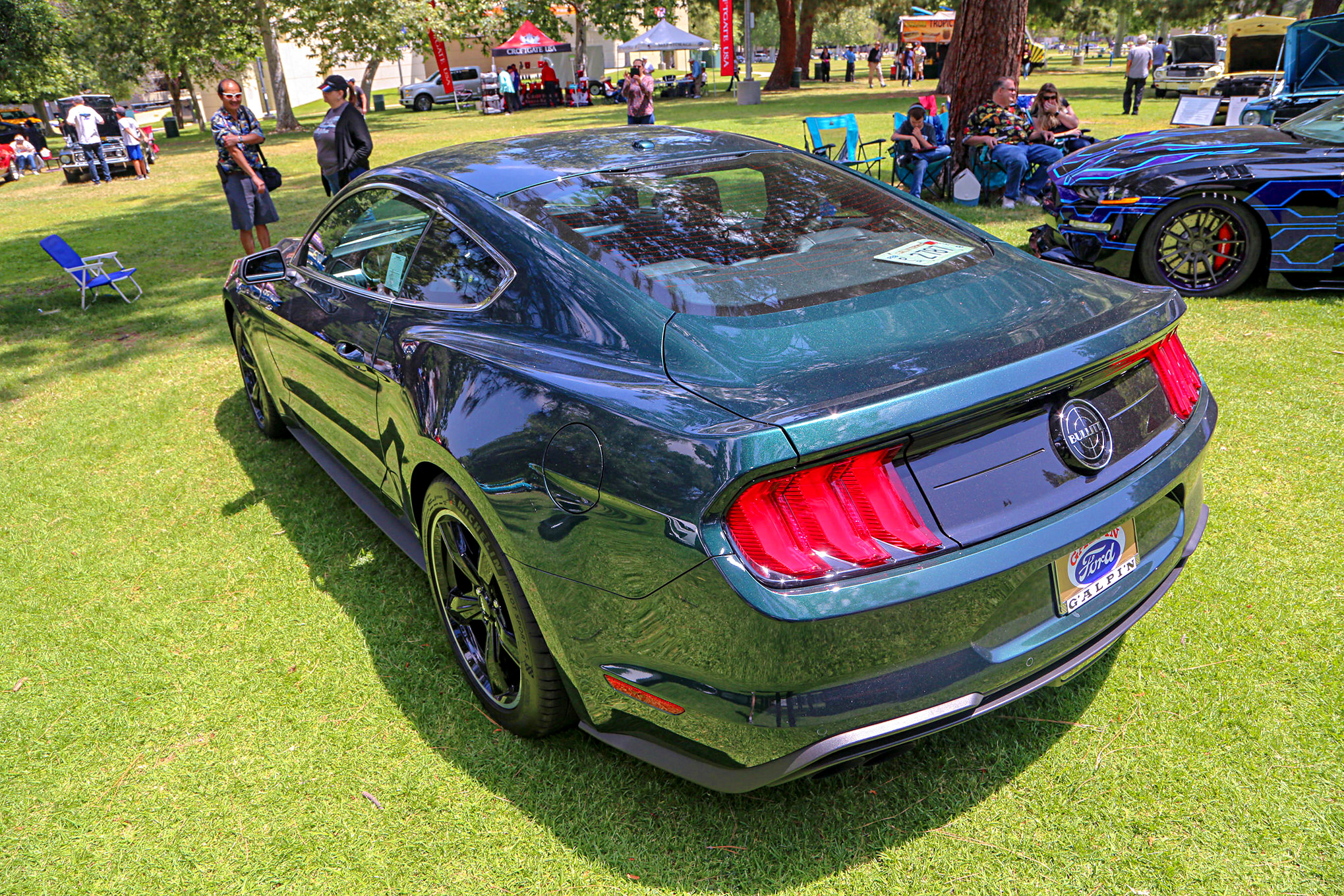 Mustangs In The Park_Stephen Russo 124