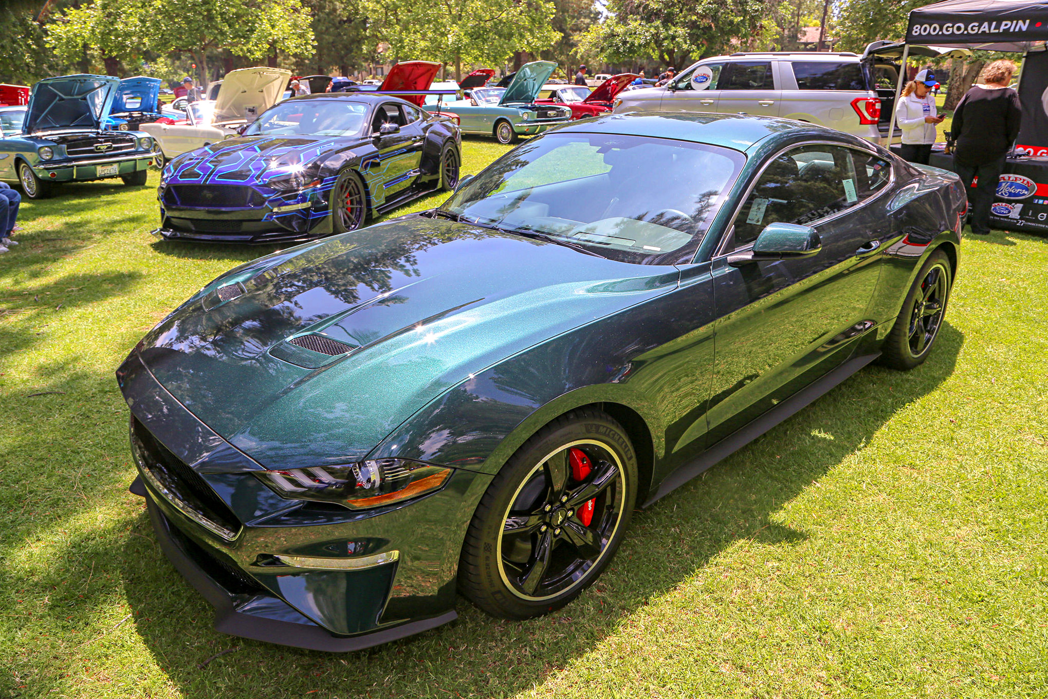 Mustangs In The Park_Stephen Russo 125