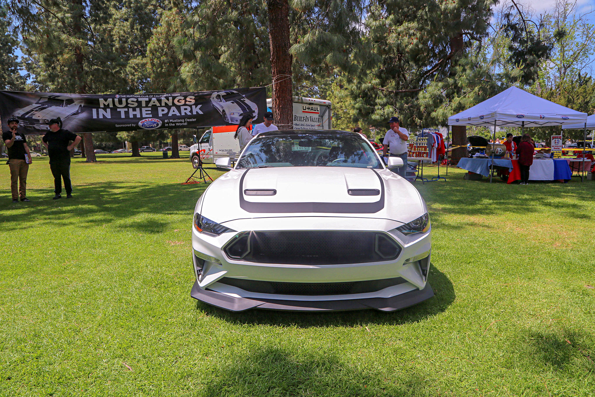 Mustangs In The Park_Stephen Russo 126