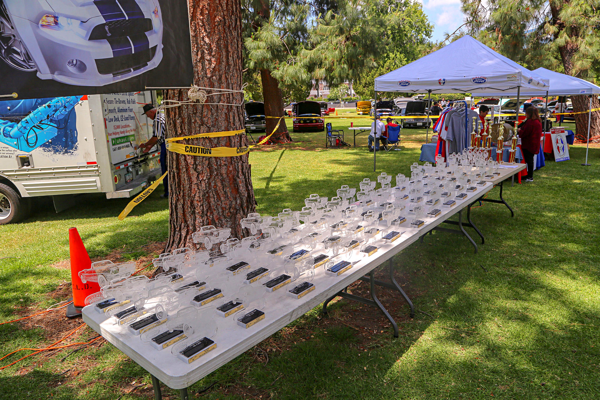 Mustangs In The Park_Stephen Russo 127