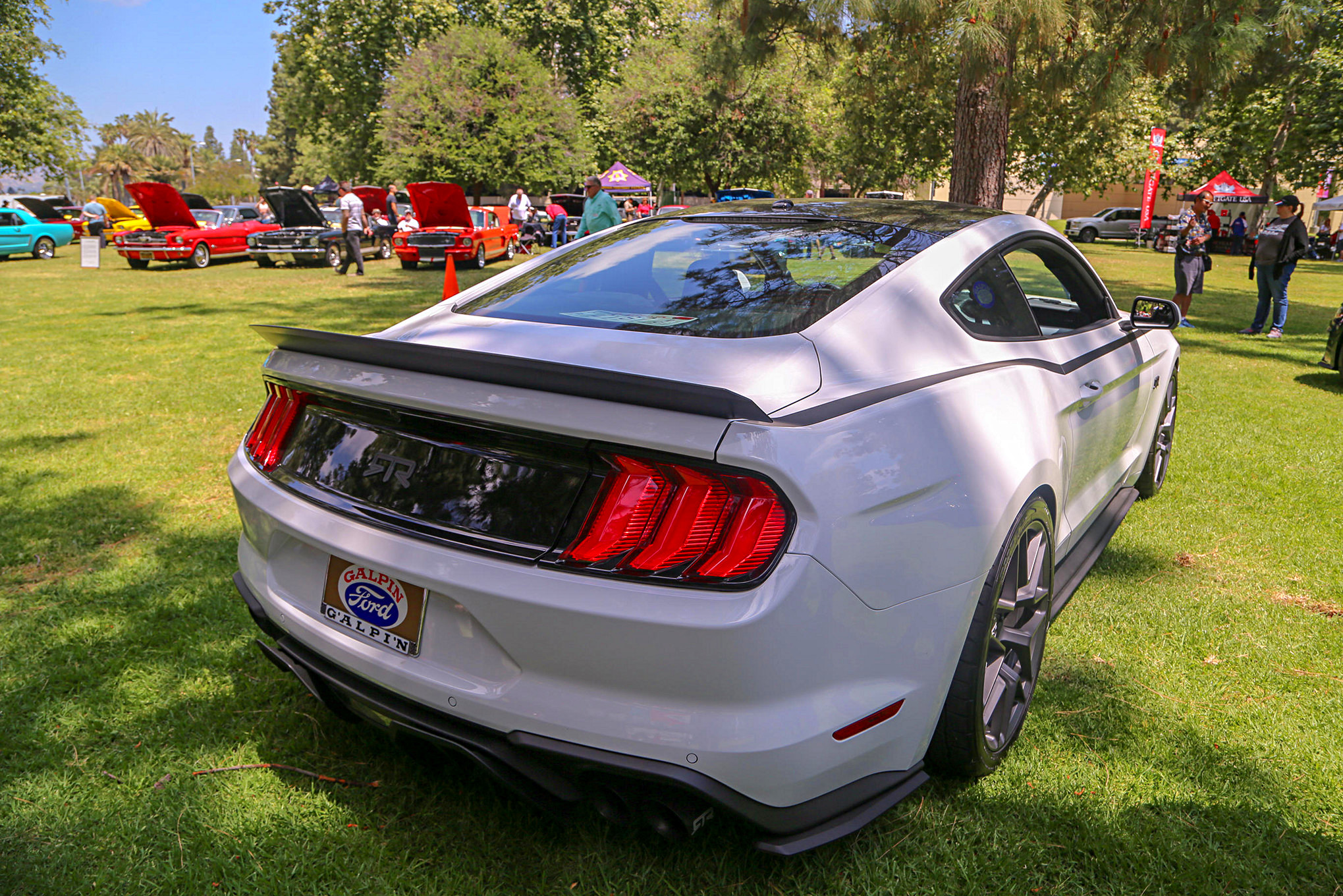 Mustangs In The Park_Stephen Russo 128