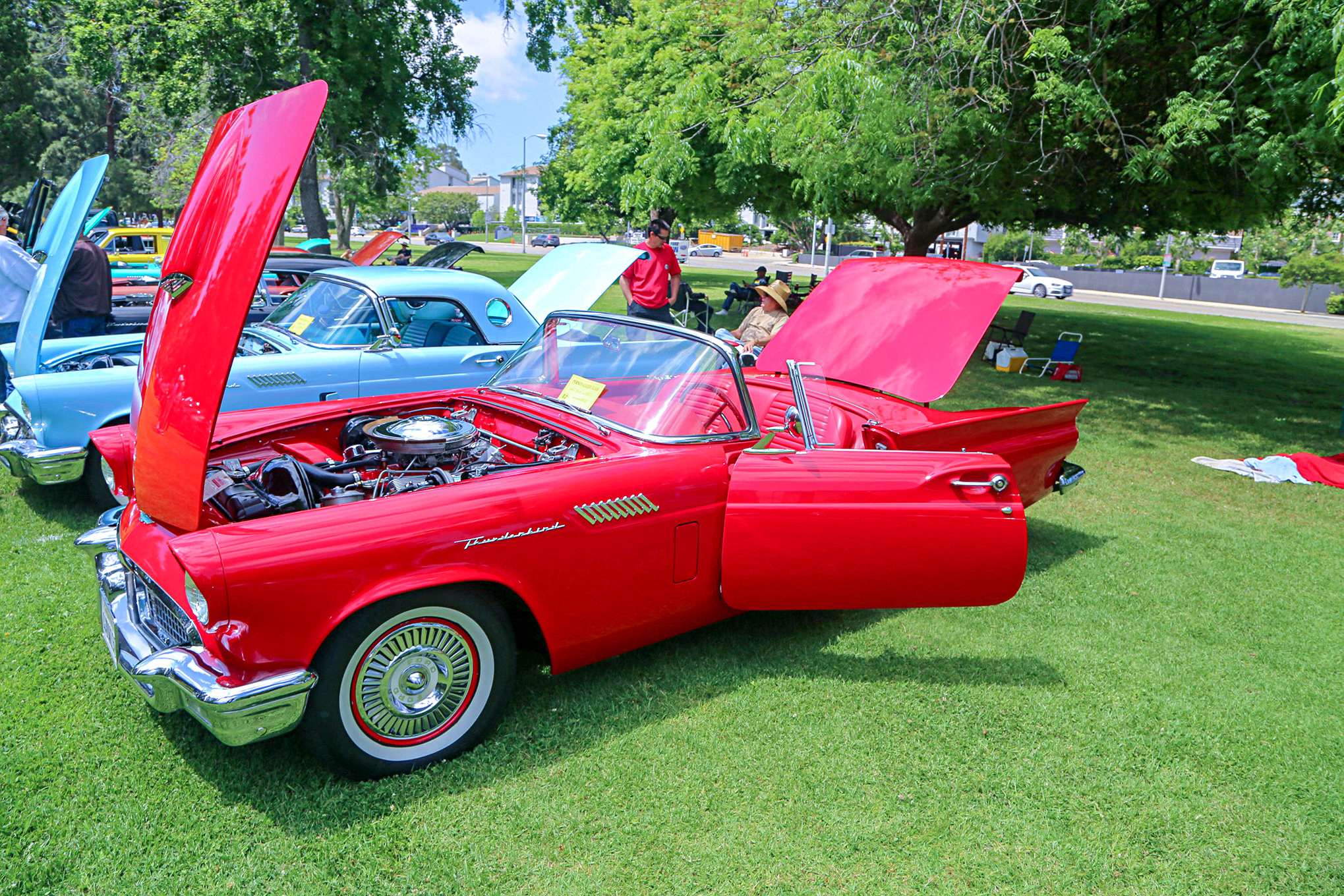Mustangs In The Park_Stephen Russo 13