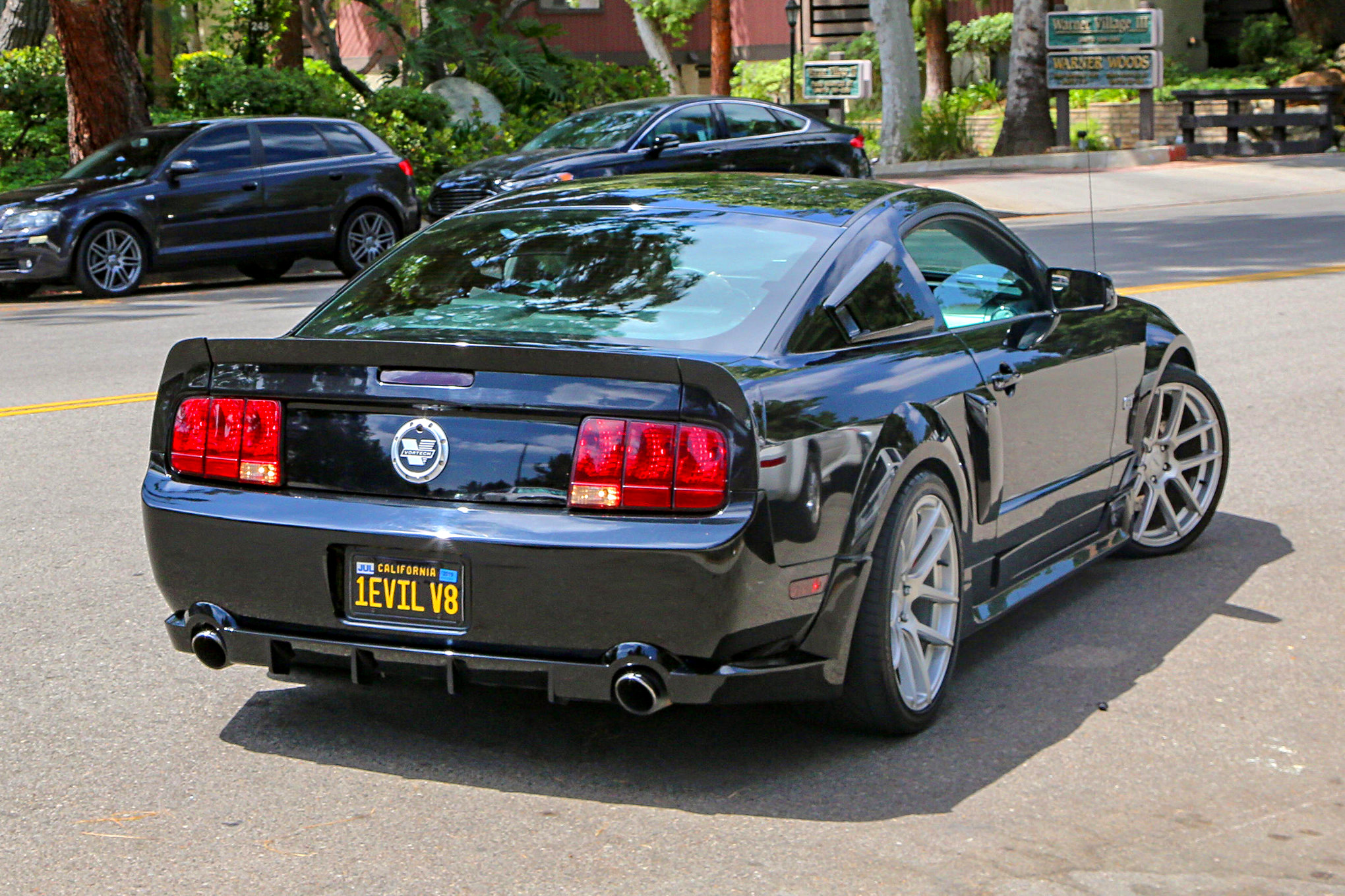 Mustangs In The Park_Stephen Russo 130 2