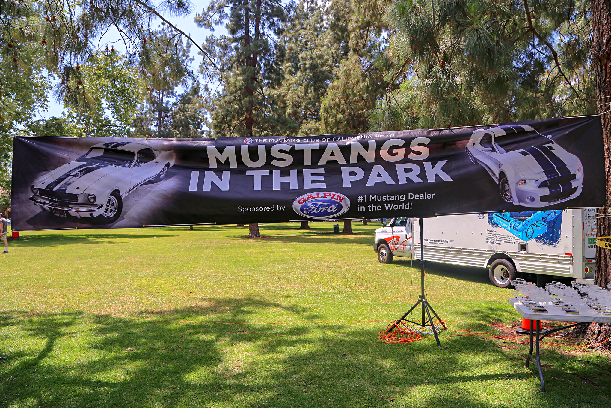 Mustangs In The Park_Stephen Russo 133