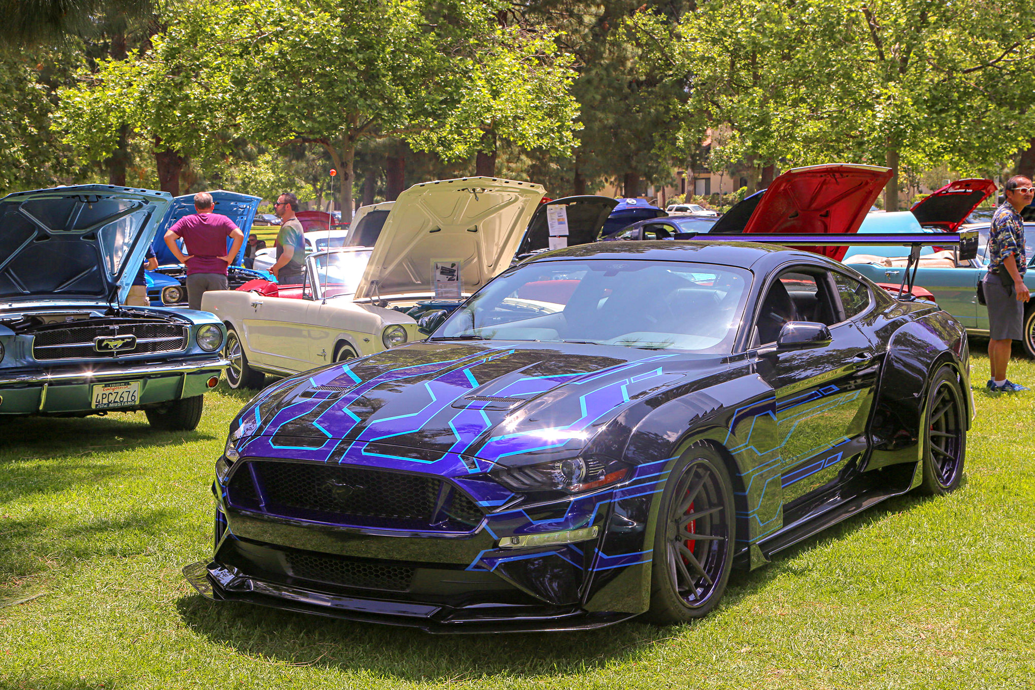 Mustangs In The Park_Stephen Russo 134