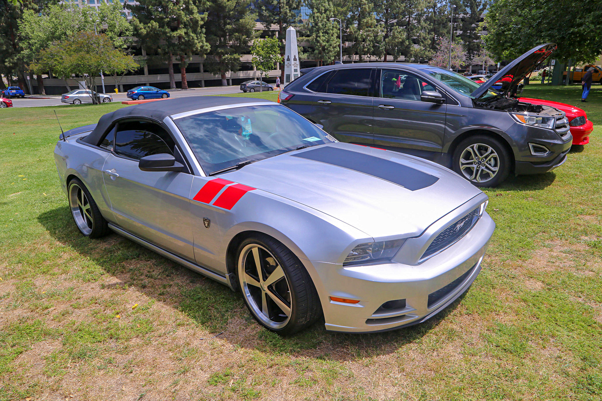 Mustangs In The Park_Stephen Russo 20