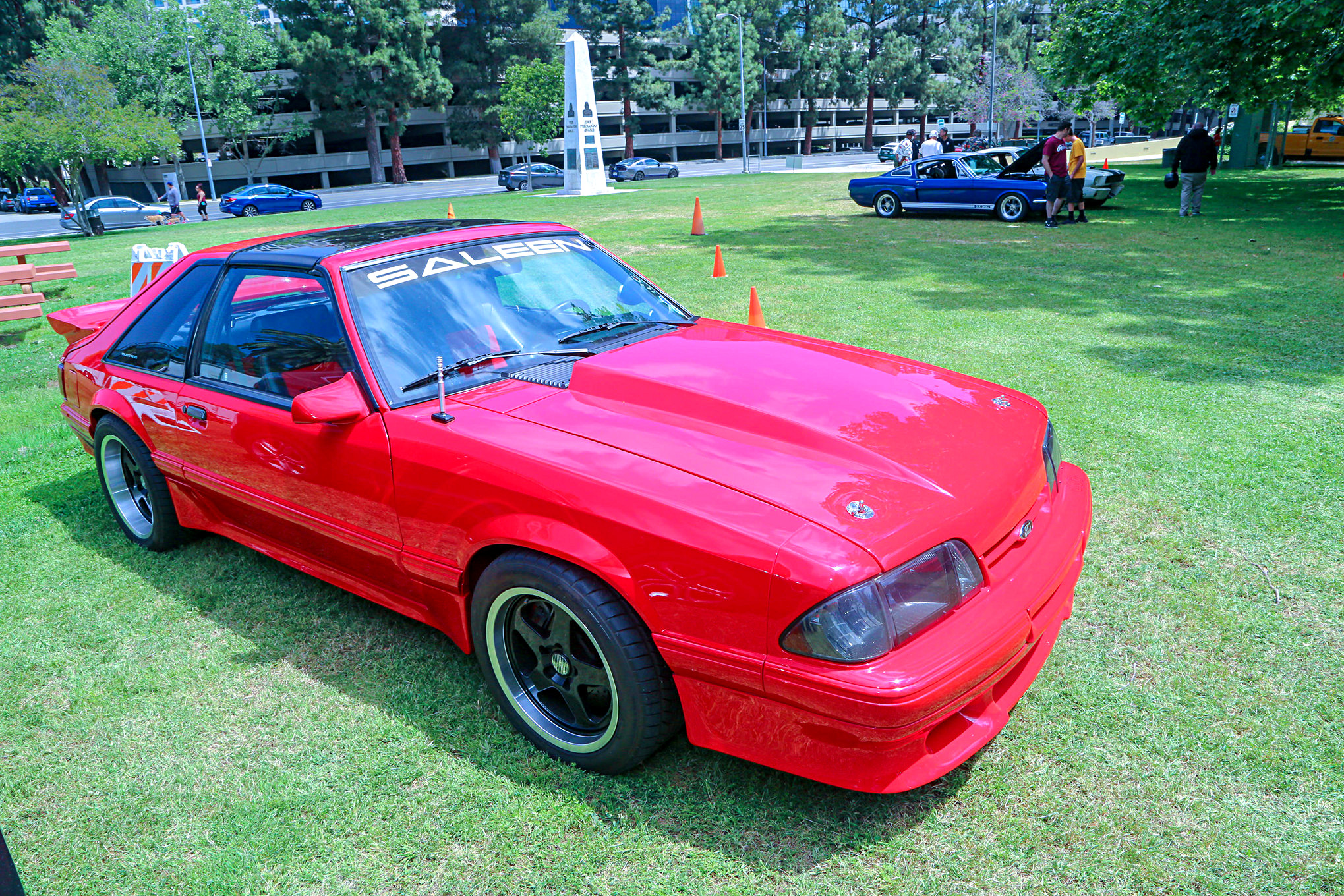 Mustangs In The Park_Stephen Russo 22
