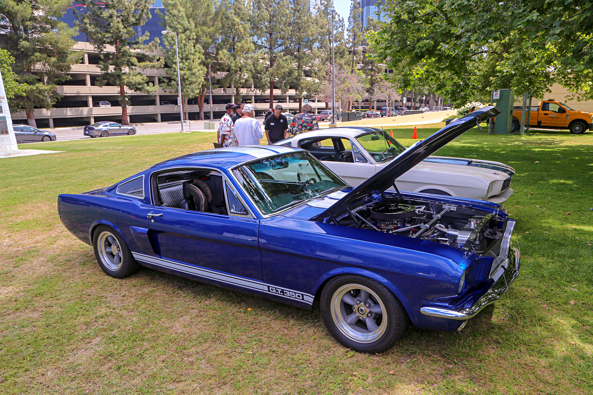 Mustangs In The Park_Stephen Russo 24