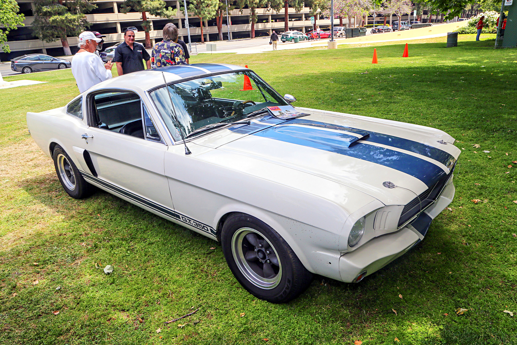 Mustangs In The Park_Stephen Russo 25
