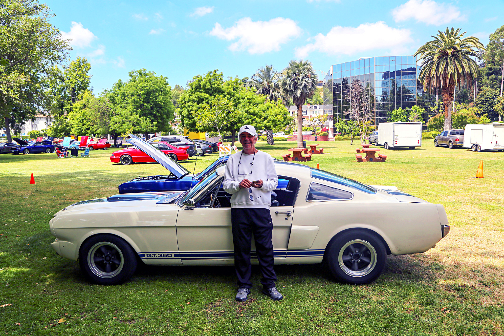 Mustangs In The Park_Stephen Russo 26