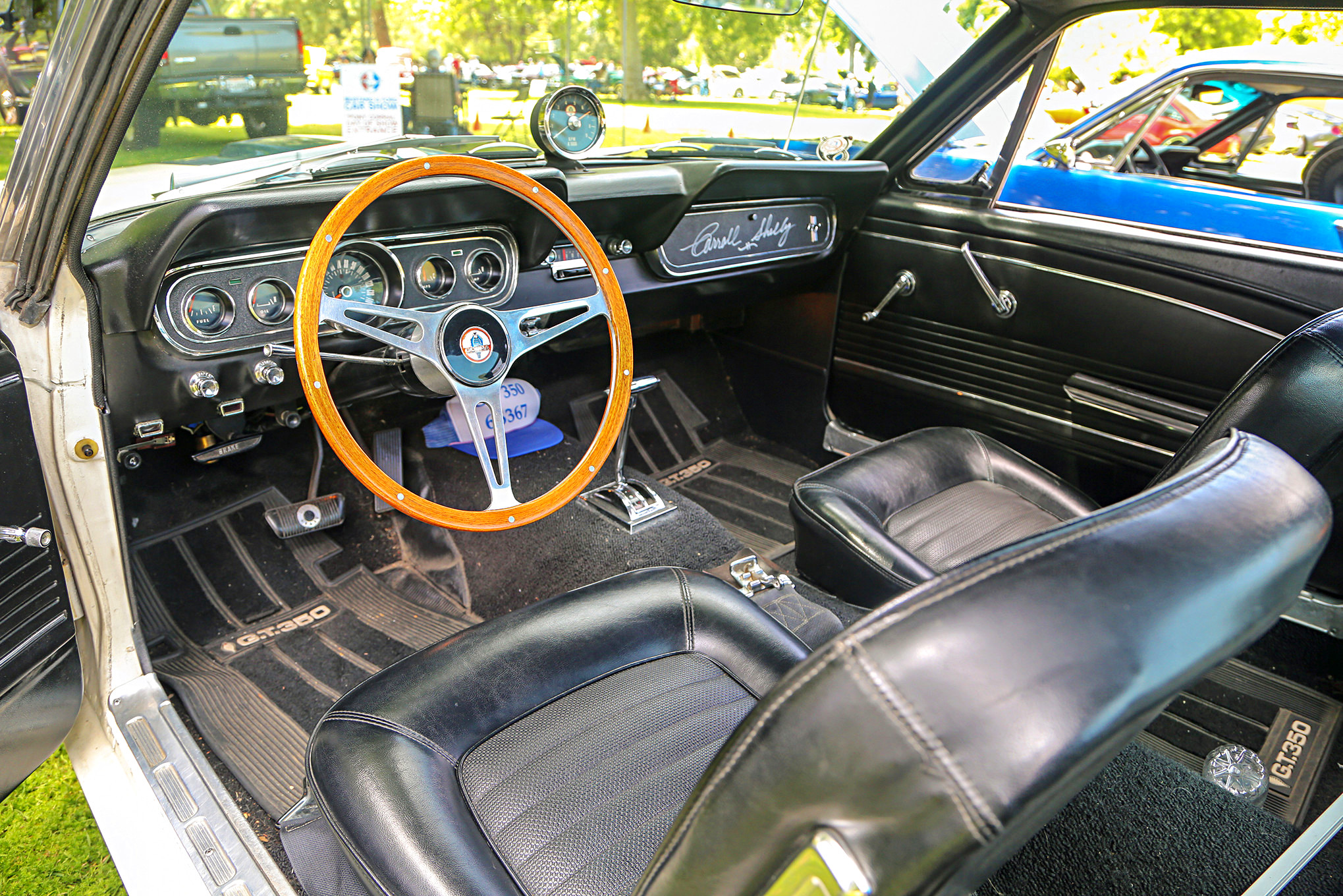 Mustangs In The Park_Stephen Russo 27