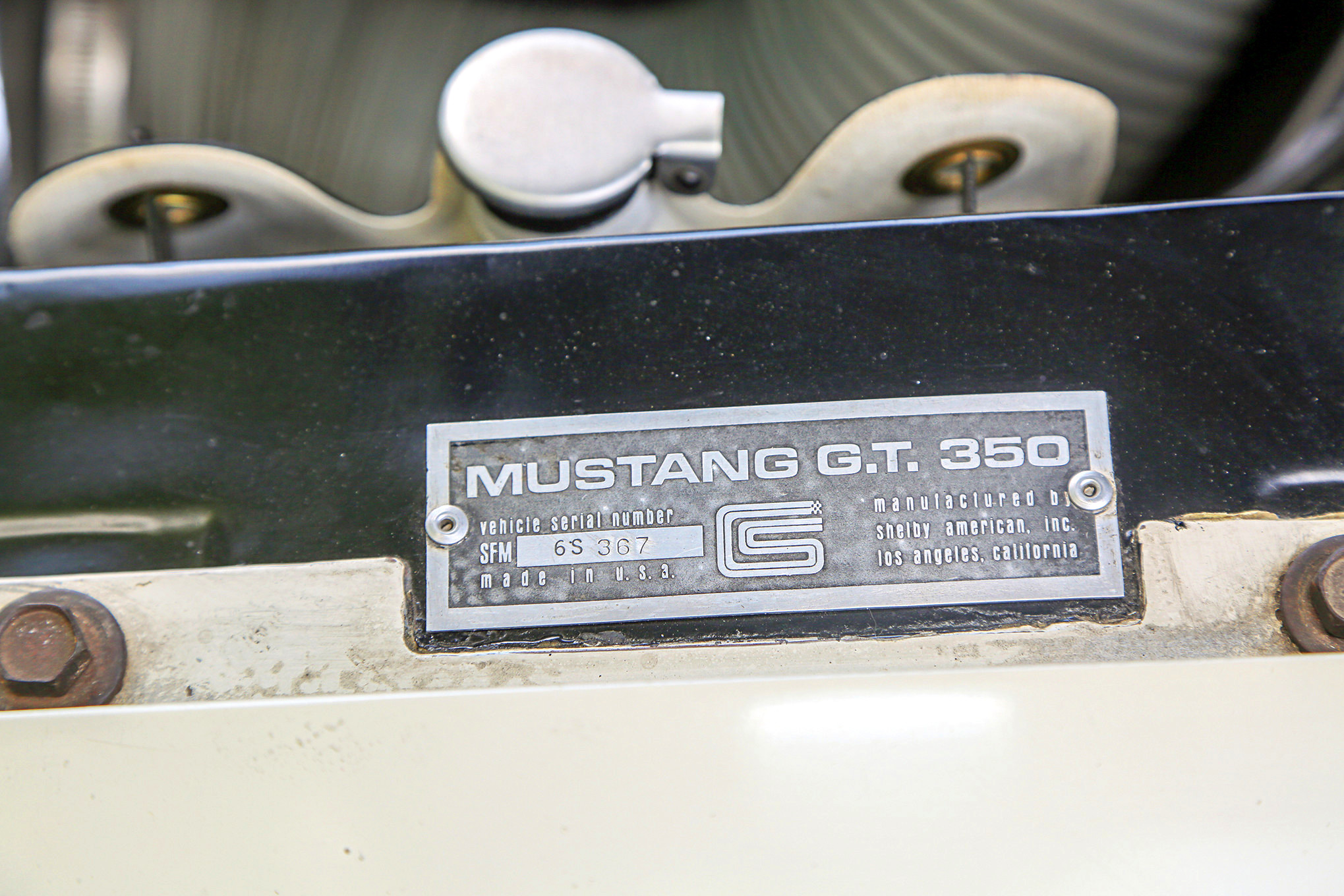 Mustangs In The Park_Stephen Russo 30