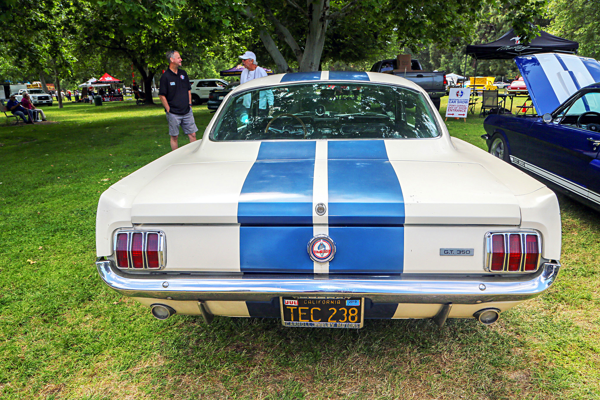 Mustangs In The Park_Stephen Russo 35
