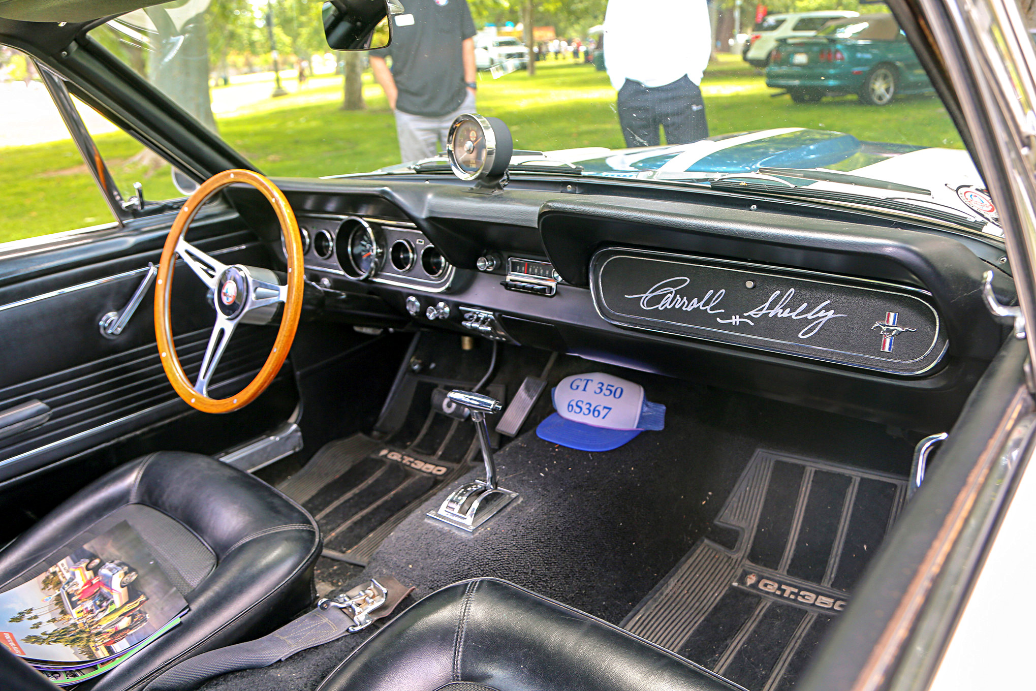 Mustangs In The Park_Stephen Russo 36