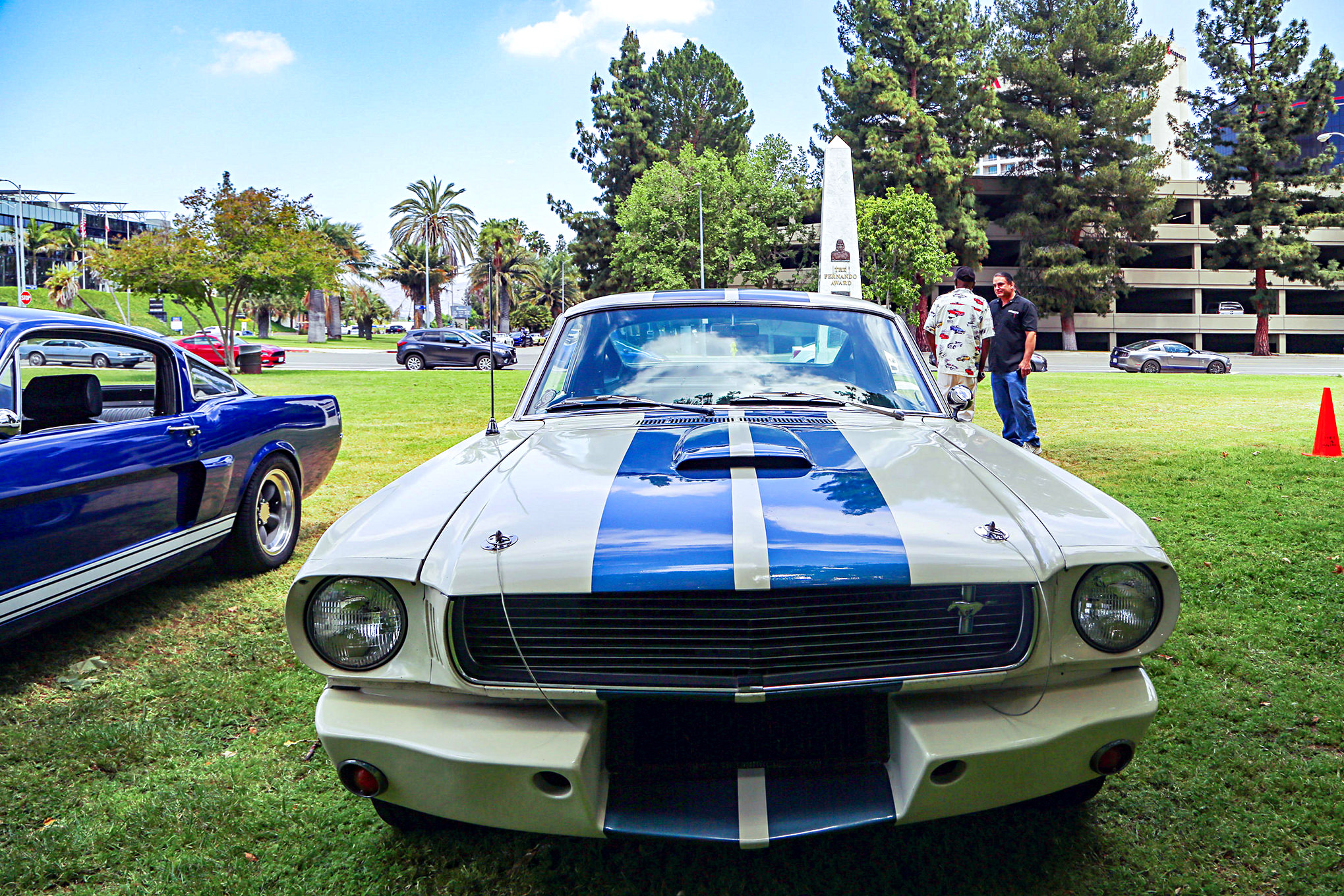 Mustangs In The Park_Stephen Russo 37 2