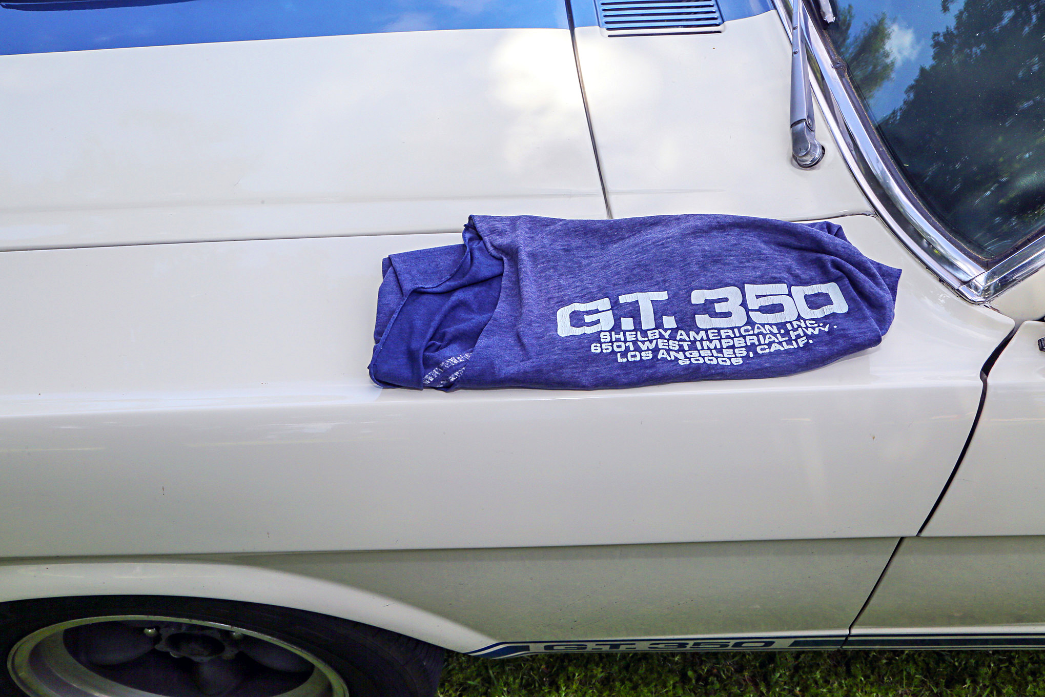Mustangs In The Park_Stephen Russo 38