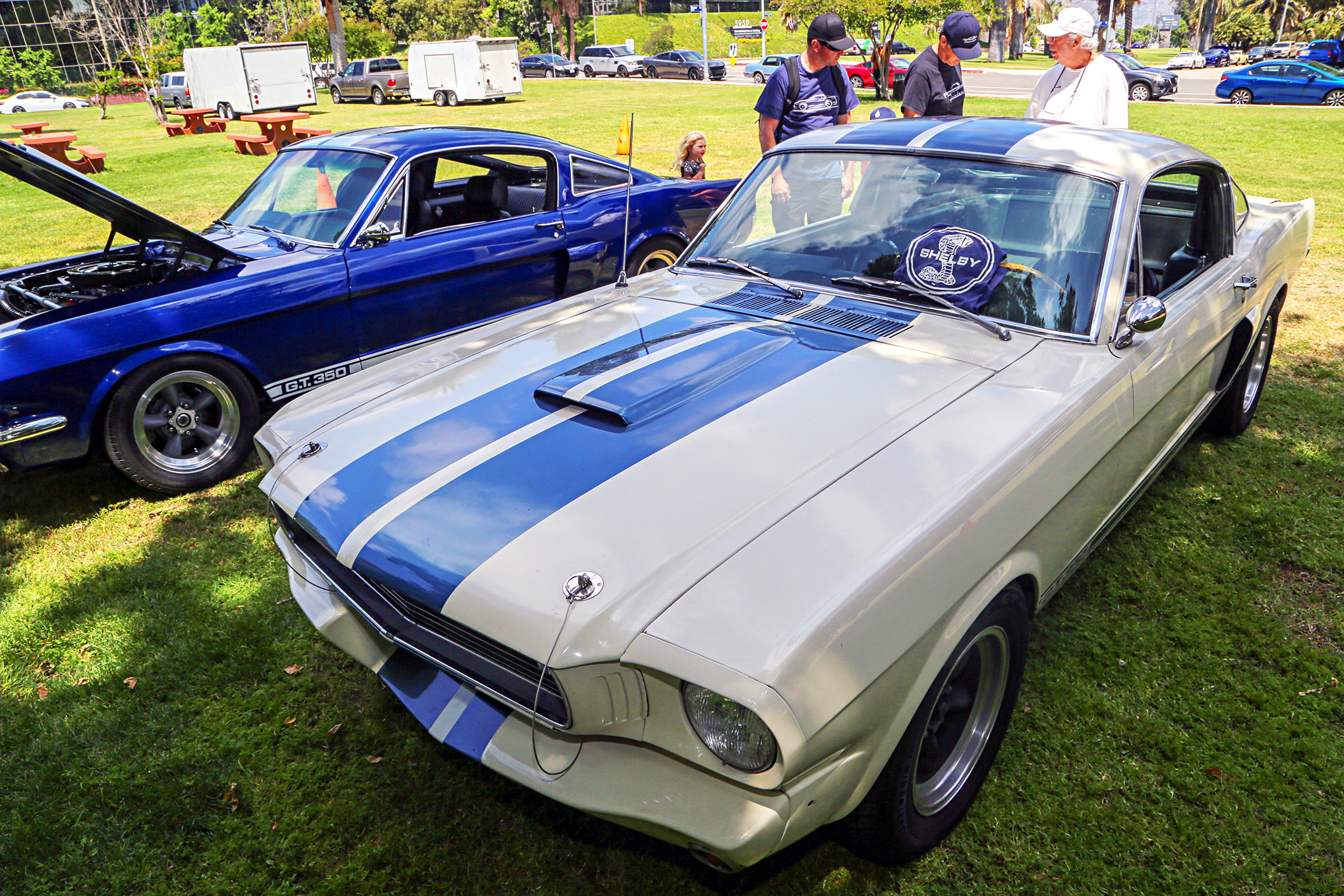 Mustangs In The Park_Stephen Russo 39